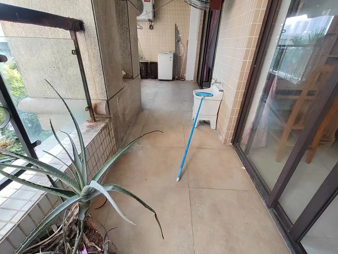 滨江帝景一期  3室2厅1卫    2600.0元/月