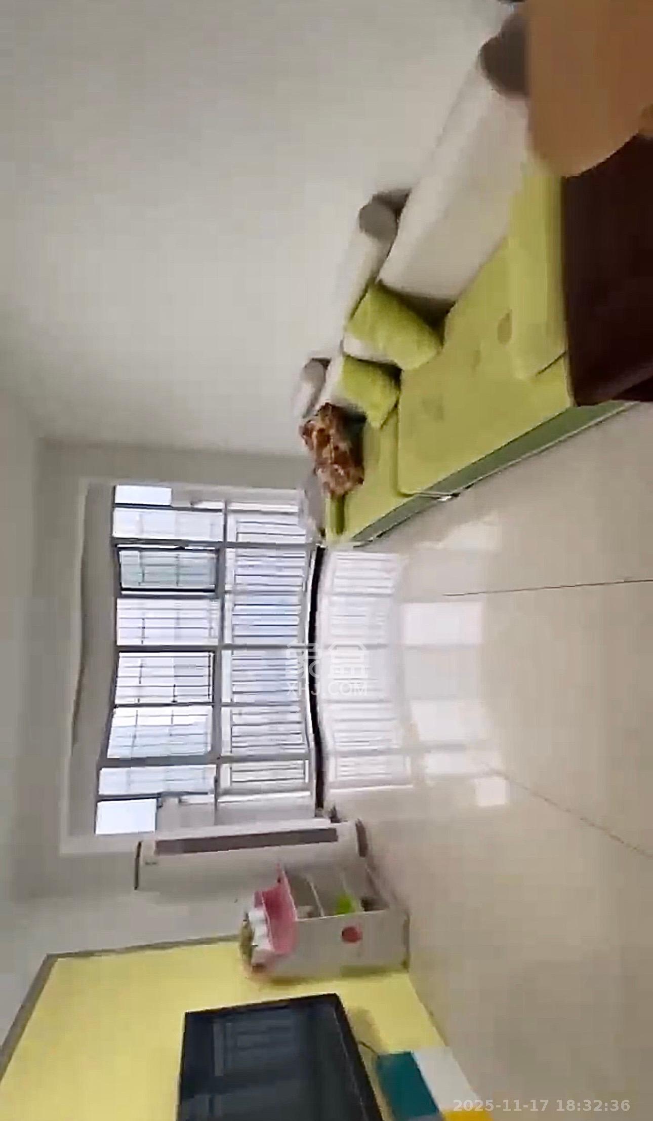 泰禹家园（彩云之翼家园一期、二期、三期）  3室2厅2卫    2100.0元/月