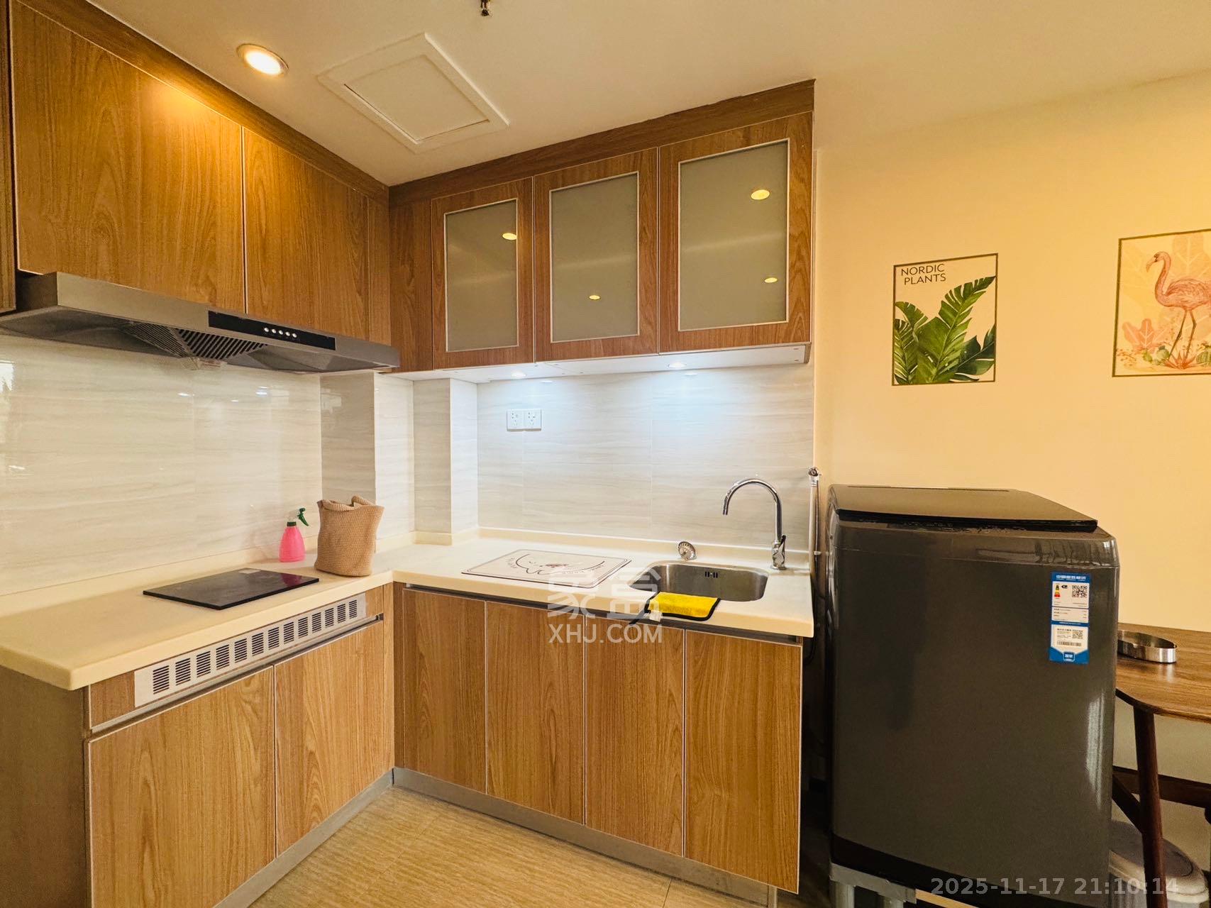 奥林匹克花园贡院三期  1室1厅1卫    1500.0元/月室内图