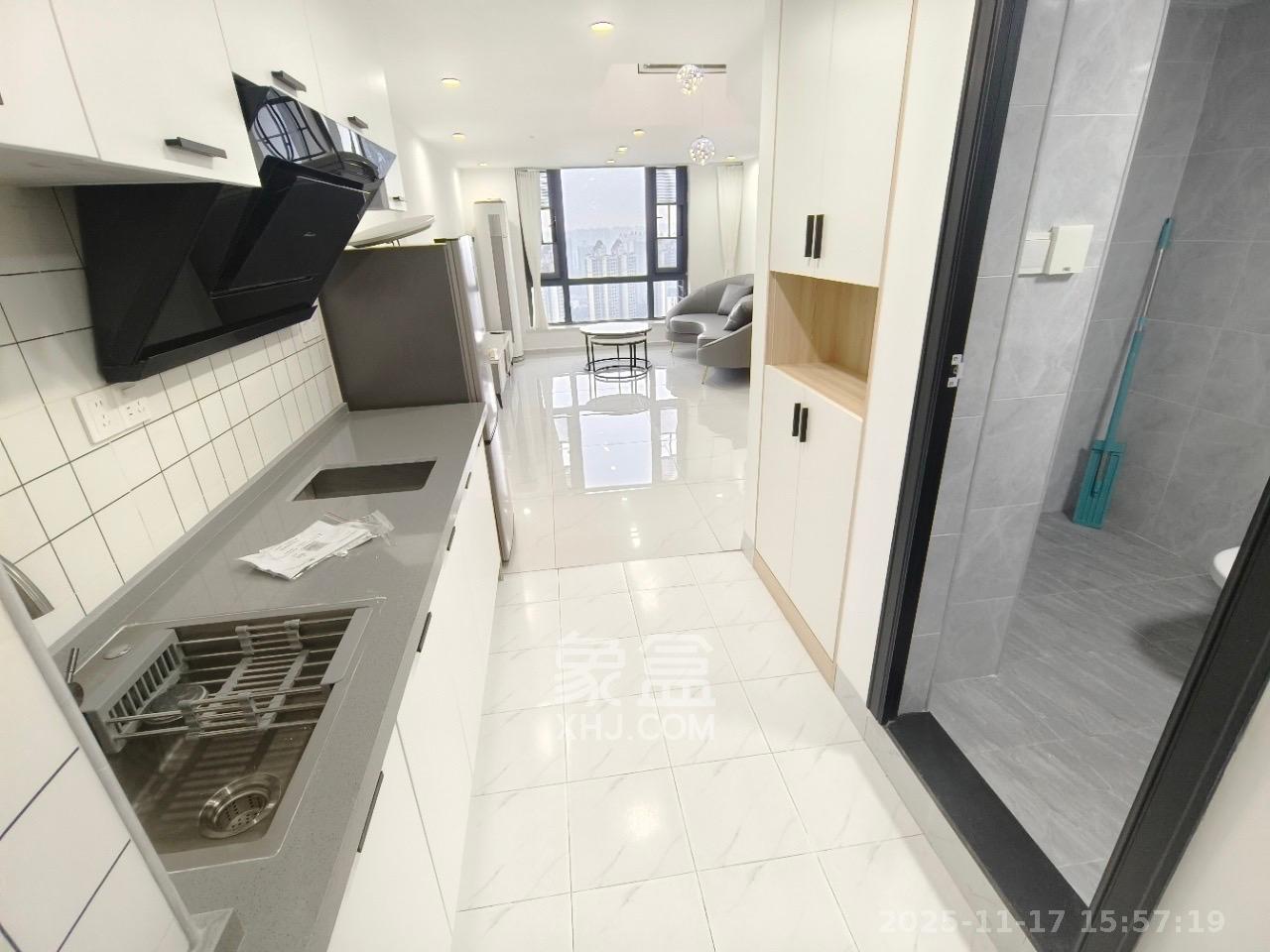 藏珑湖上公馆  1室1厅1卫    1900.0元/月室内图