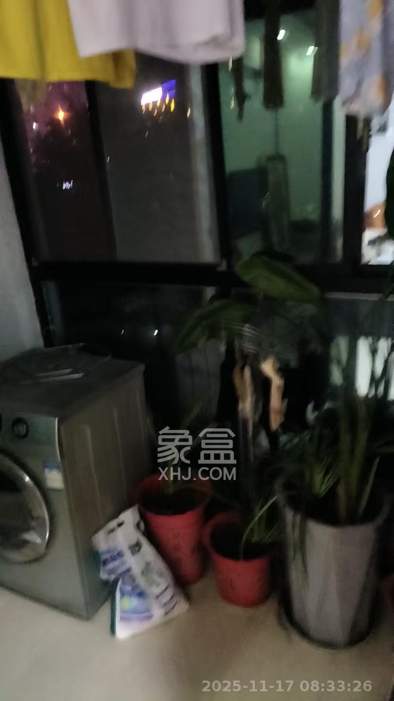 水岸天际（一期、二期）  2室1厅1卫    1800.0元/月室内图