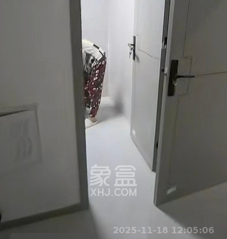 碧桂园威尼斯城  2室1厅1卫    1500.0元/月室内图