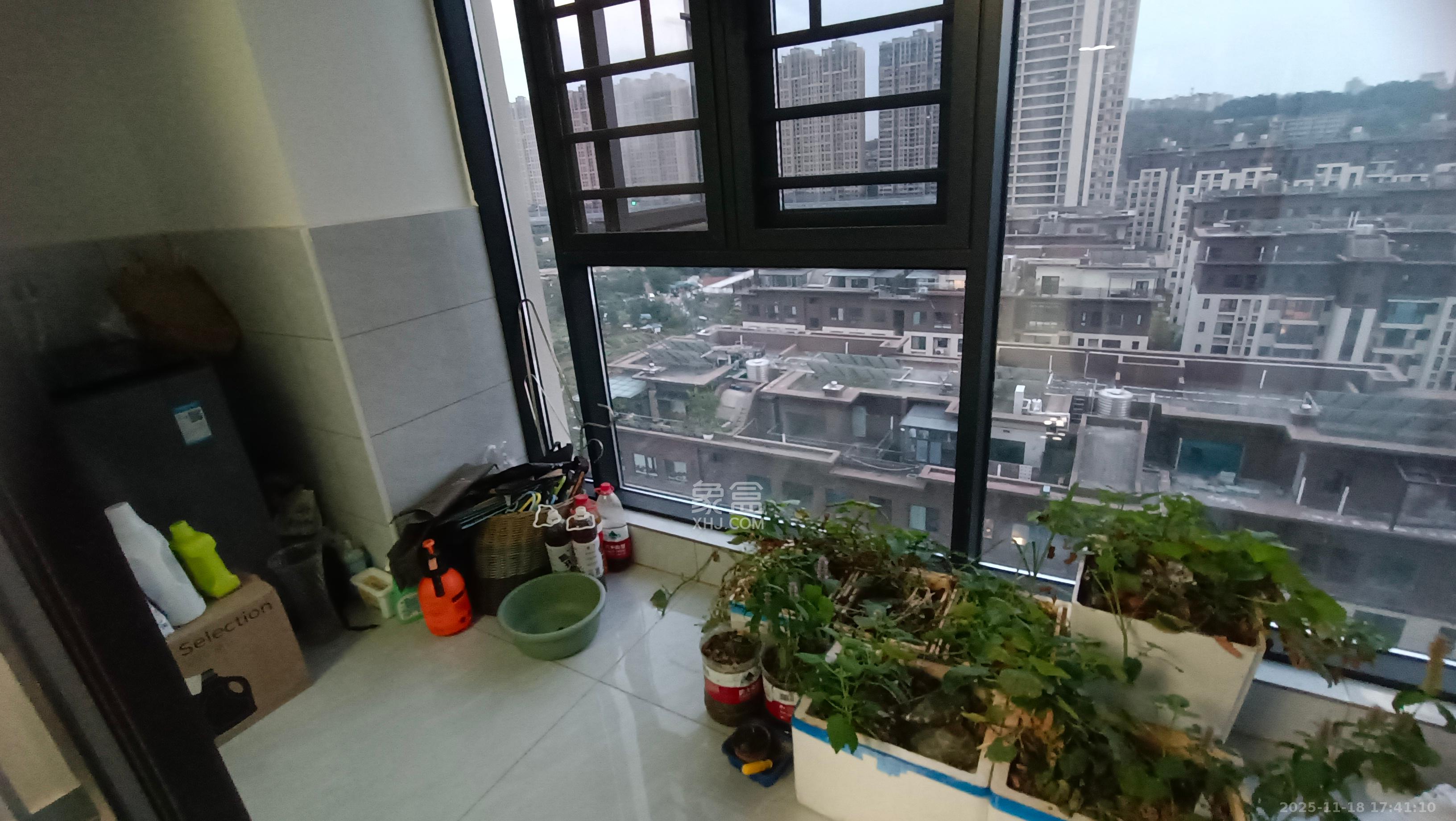 远洋红星天铂一期  3室2厅2卫    2400.0元/月室内图