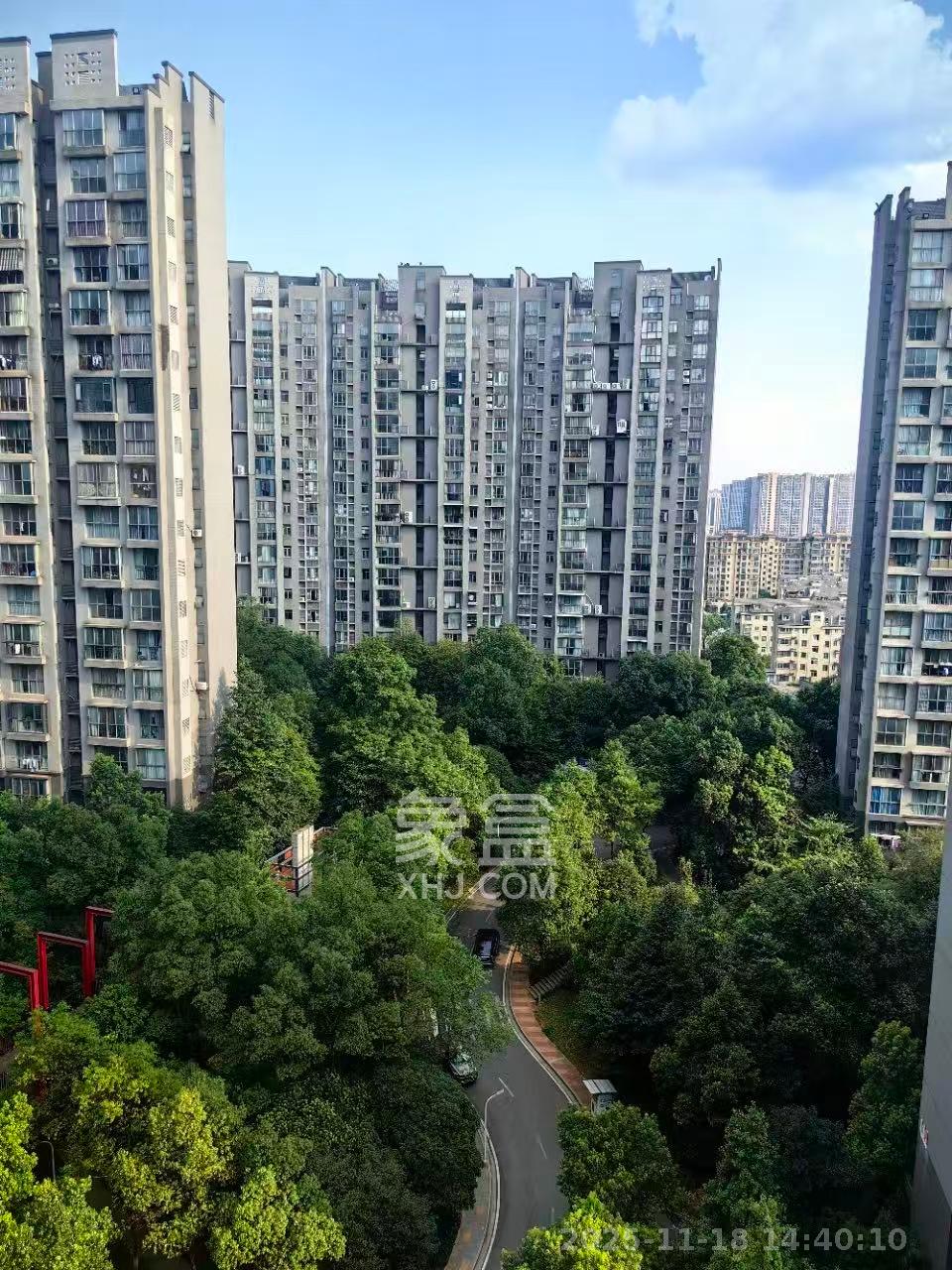 星城新宇桃花苑 1室1厅1卫 1500.0元/月 星城新宇桃花苑 1室1厅1卫 1500.0元/月室内图