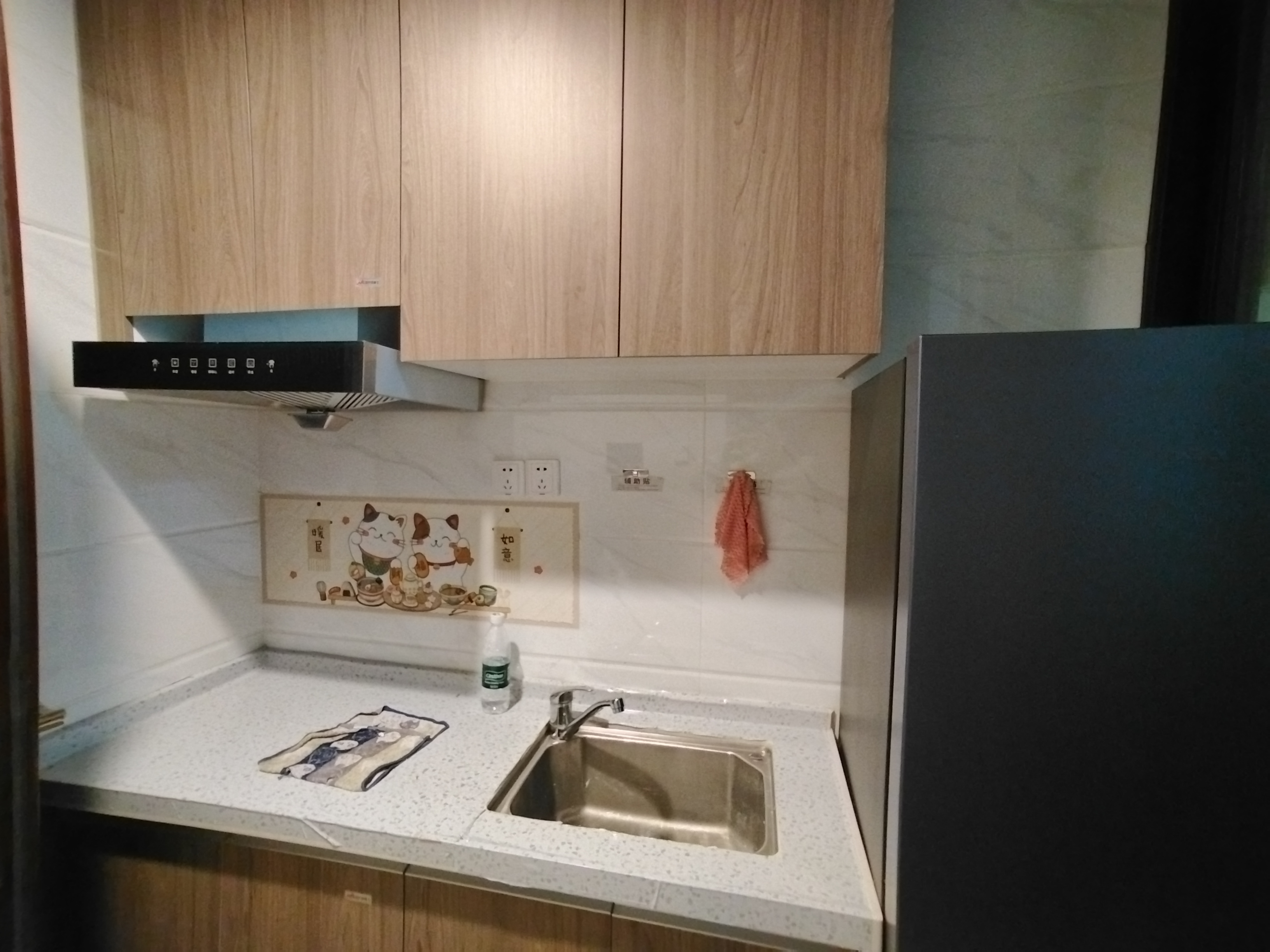 碧桂园翘楚棠  1室1厅1卫    800.0元/月