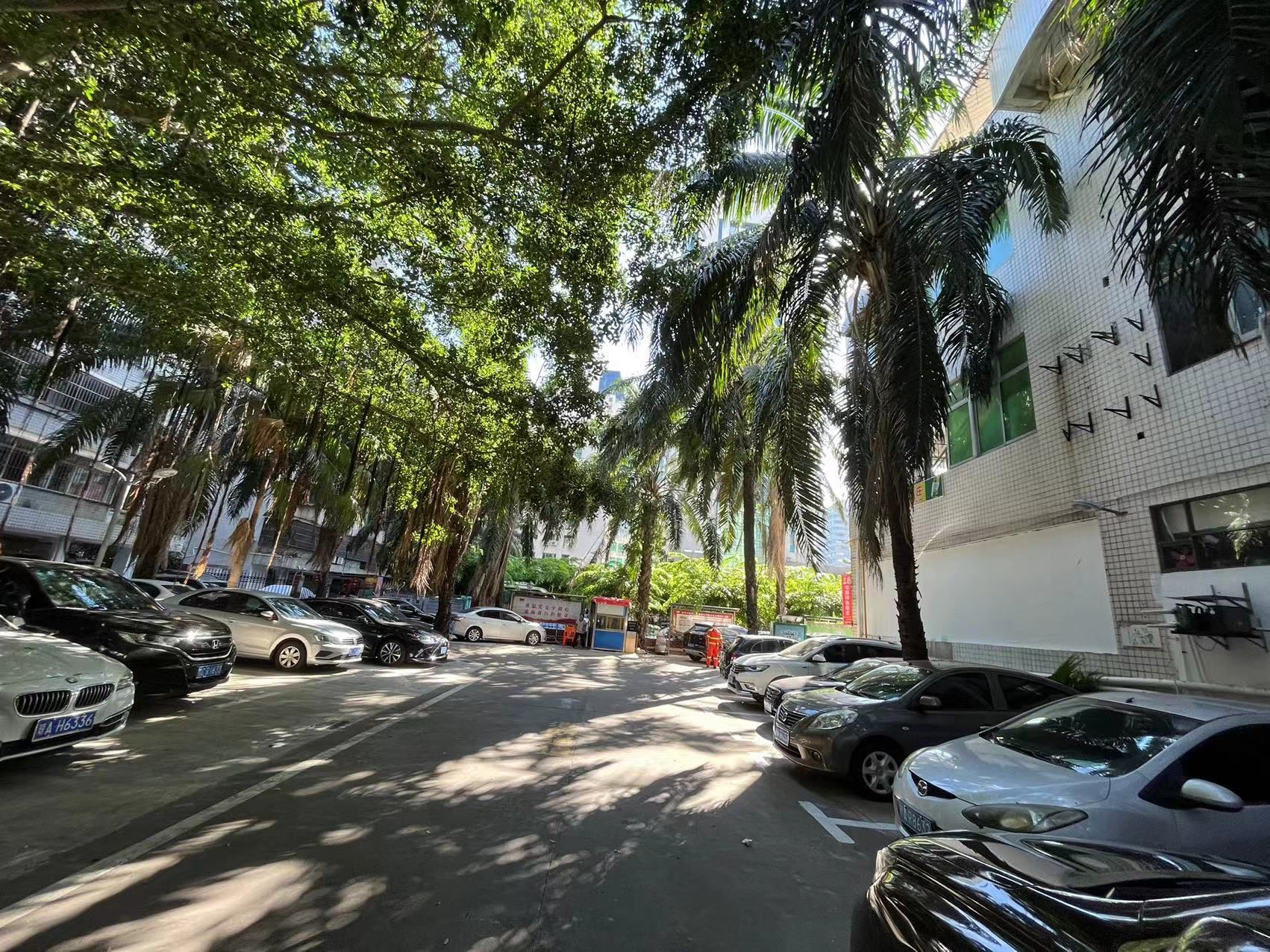 金福城 5室2厅3卫 15000.0元/月 金福城 5室2厅3卫 15000.0元/月室内图