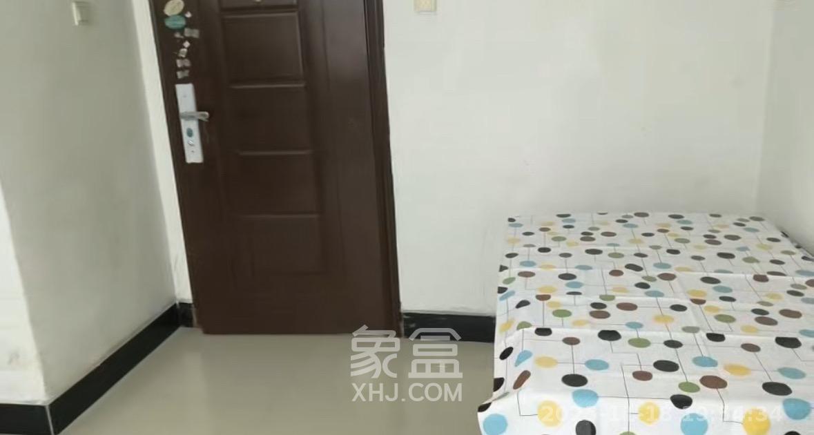 金科佳苑  1室1厅1卫    800.0元/月