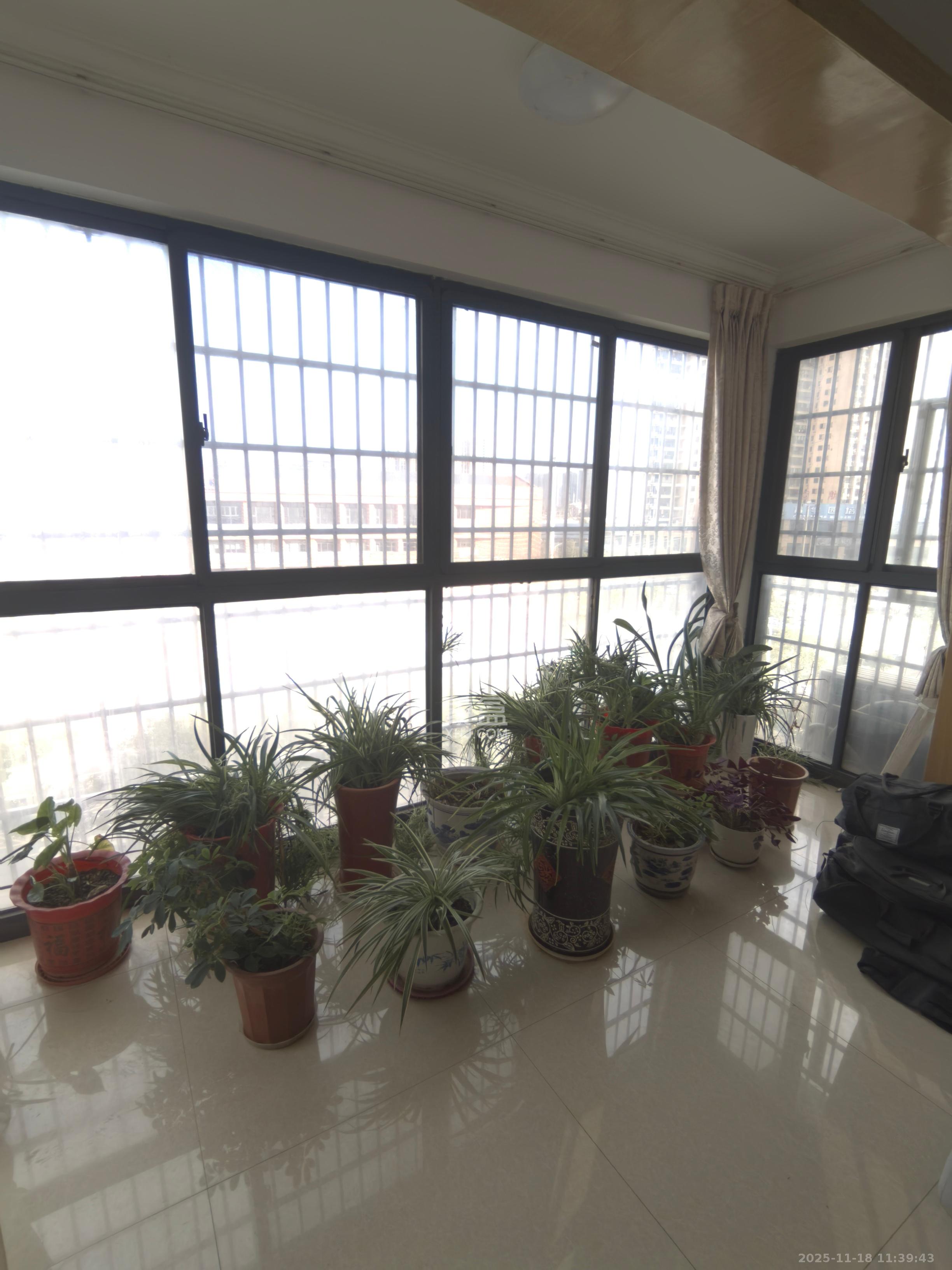 兴邦花城  3室2厅2卫    1500.0元/月室内图