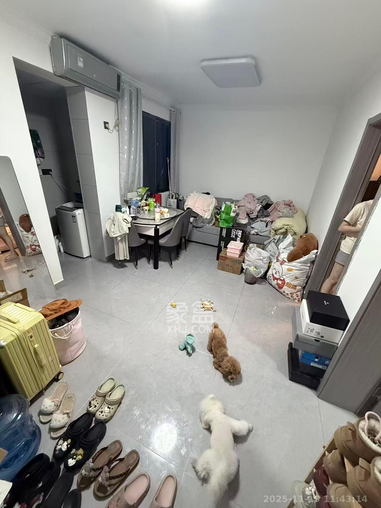 向韶村 2室1厅1卫 2500.0元/月 向韶村 2室1厅1卫 2500.0元/月室内图