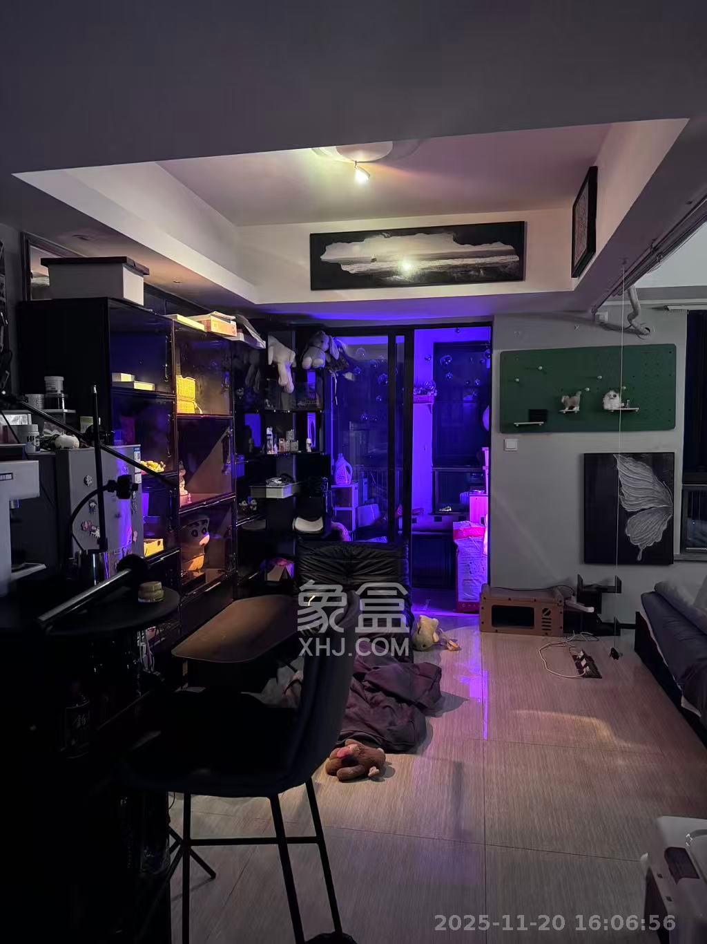 奥林匹克花园贡院三期  1室1厅1卫    1500.0元/月室内图