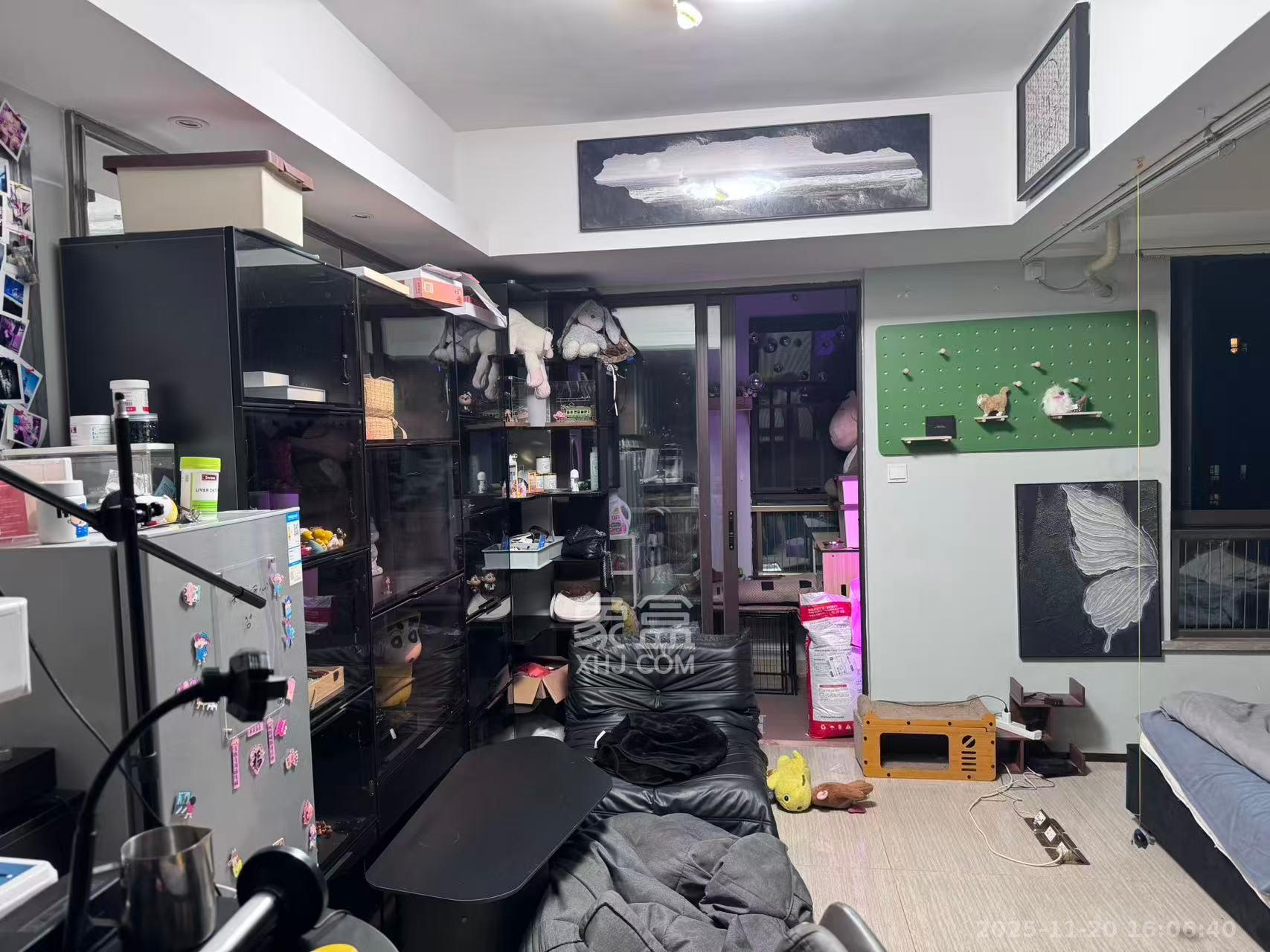 奥林匹克花园贡院三期  1室1厅1卫    1500.0元/月室内图1