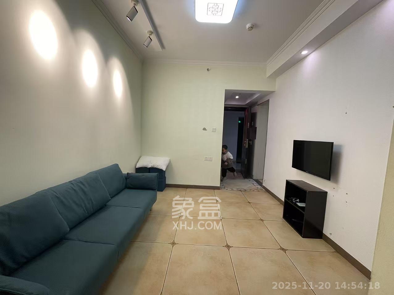 合能洋湖公馆  2室0厅0卫    2000.0元/月