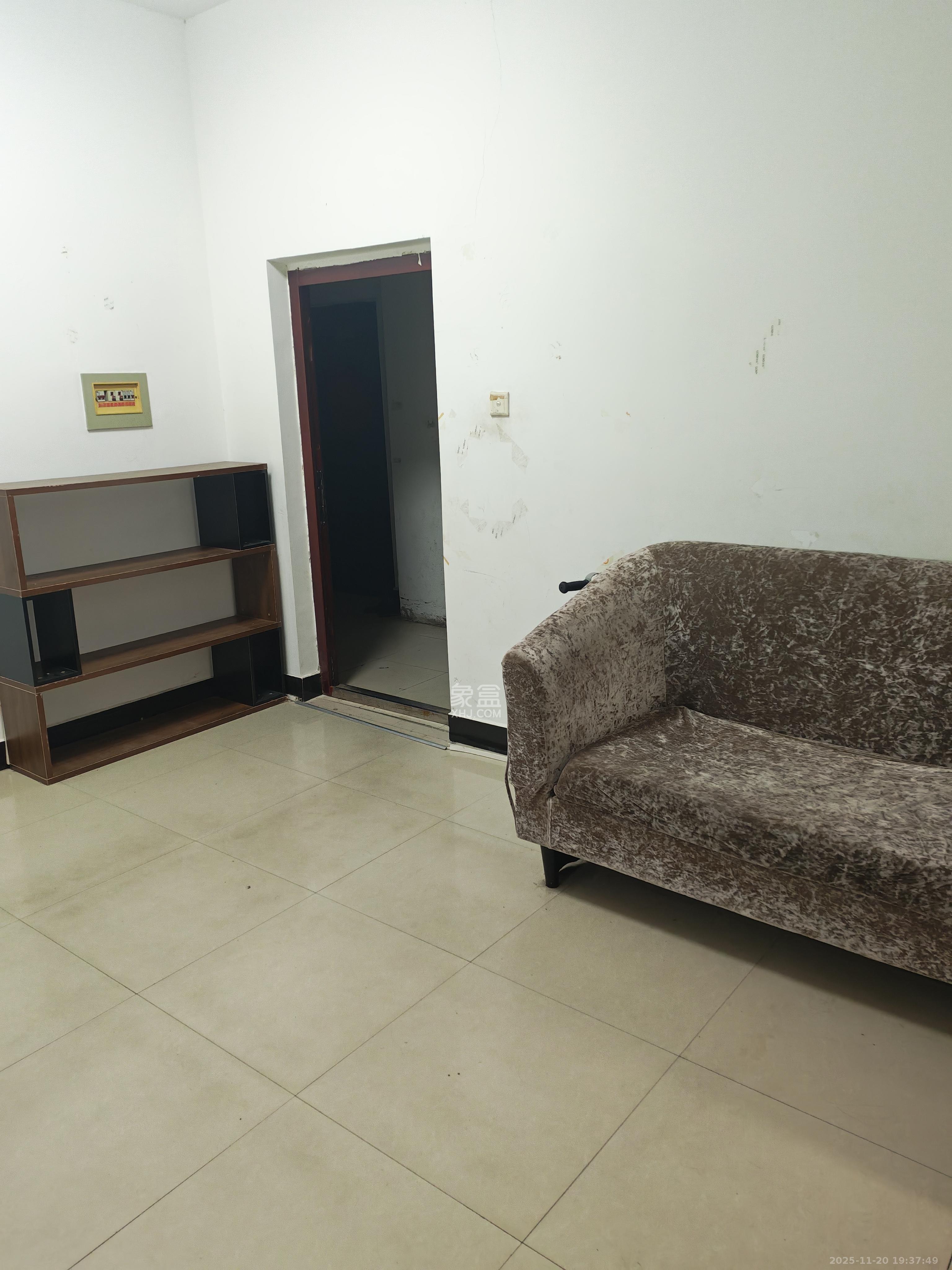 金利苑  2室1厅1卫    1300.0元/月