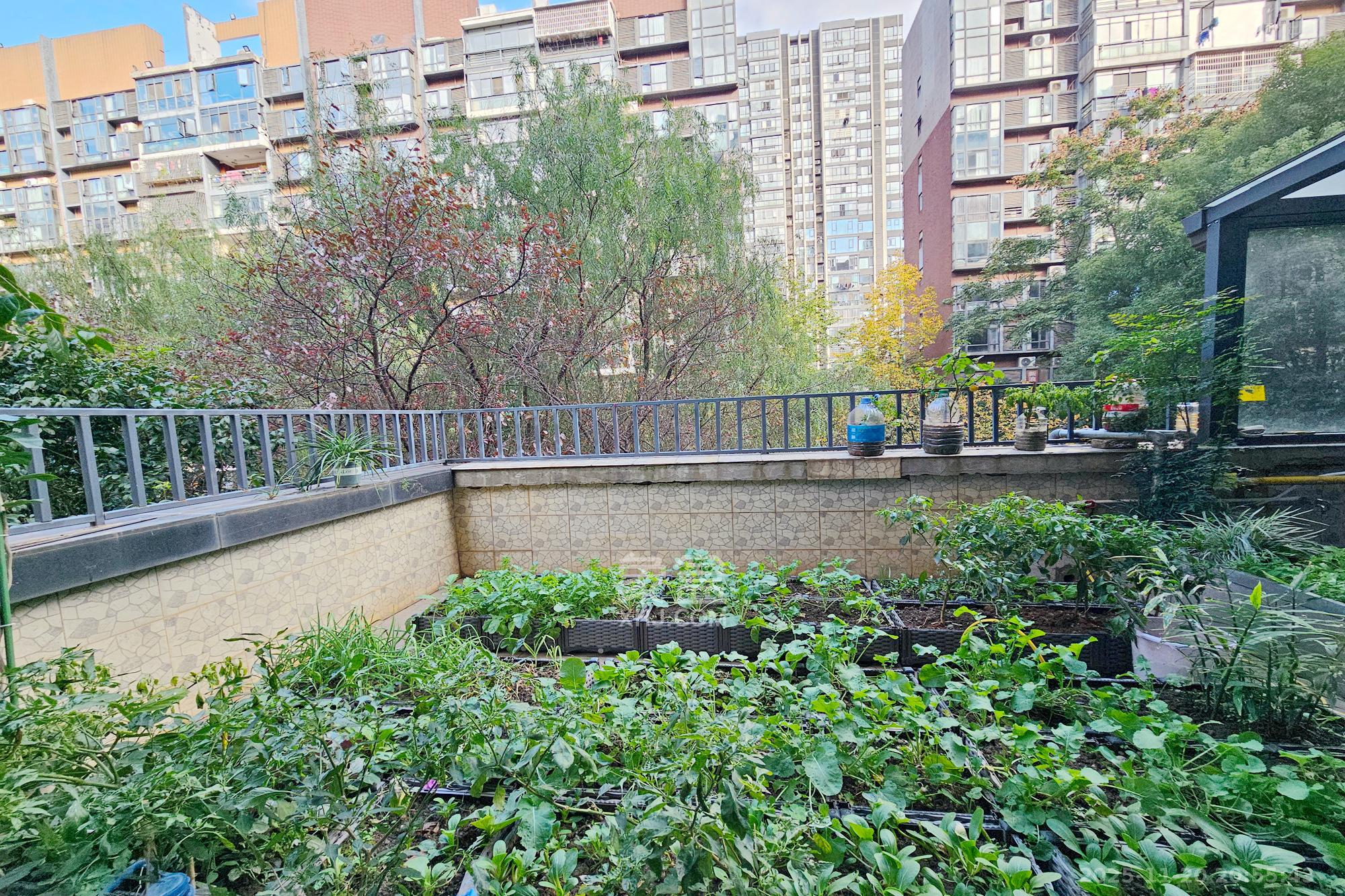 茂华国际湘  3室2厅2卫    140.0万阳台