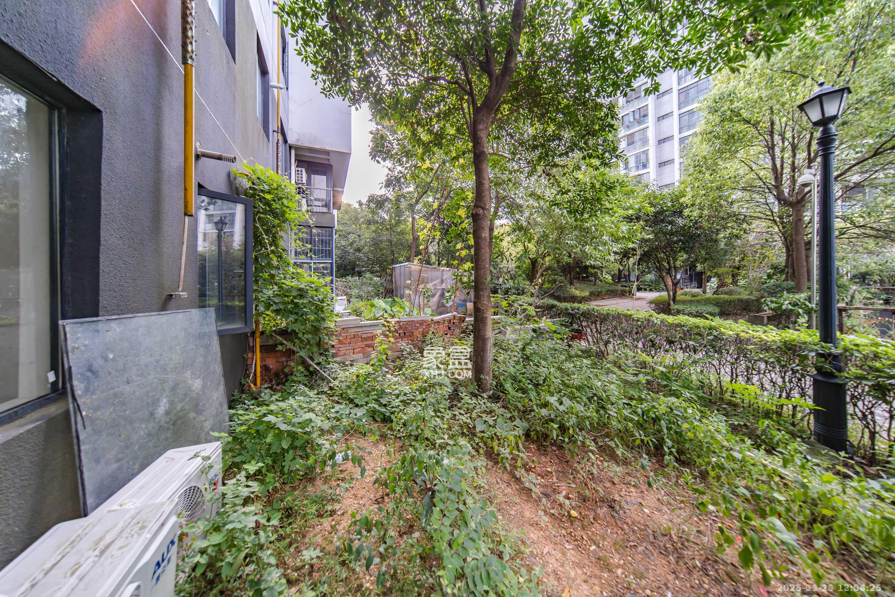 阳光100三期  3室2厅1卫    2800.0元/月室内图