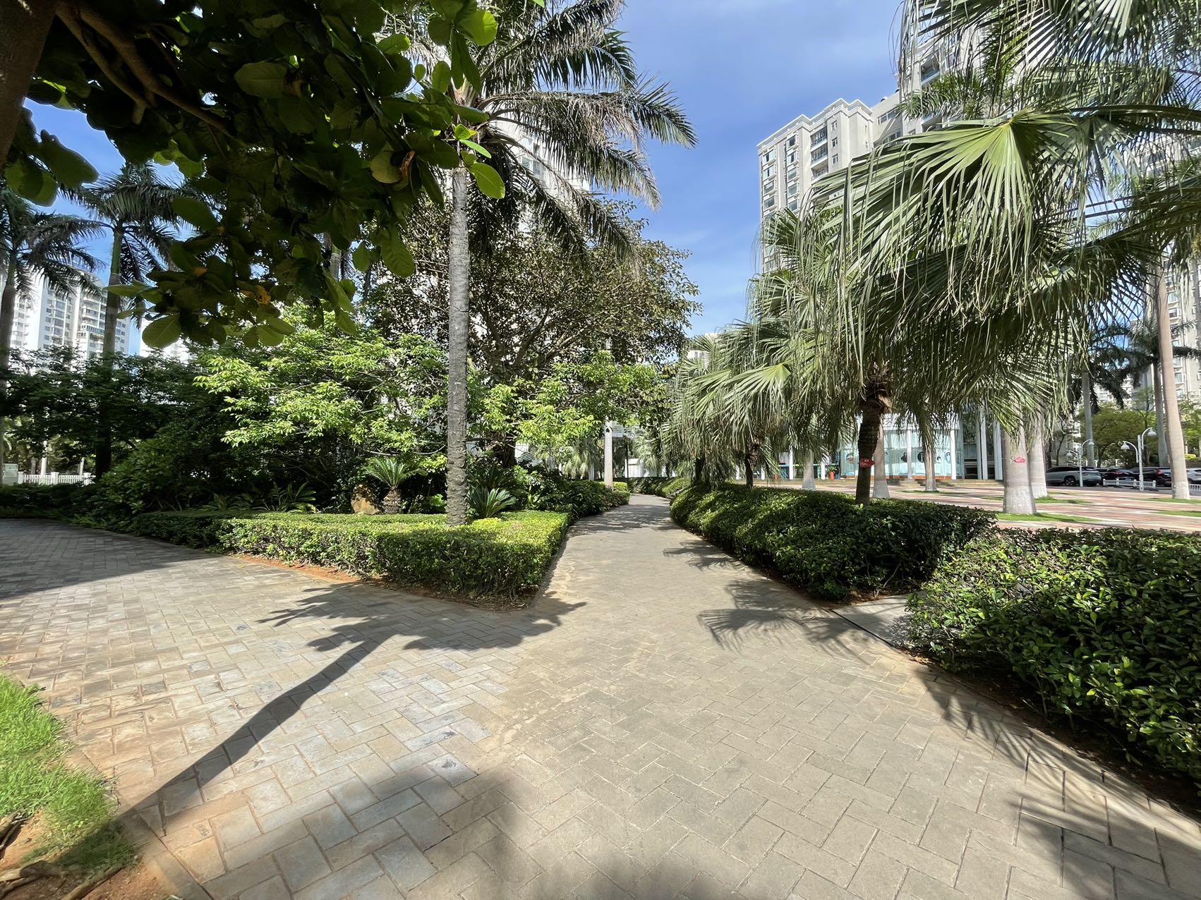 紫荆花园一期 4室2厅2卫 5000.0元/月 紫荆花园一期 4室2厅2卫 5000.0元/月小区图