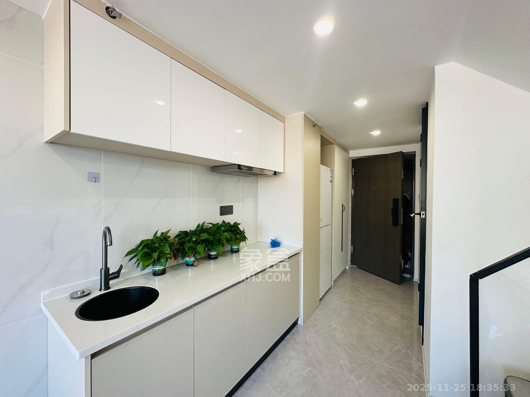 龙湖铂金岛  2室1厅1卫    2500.0元/月室内图