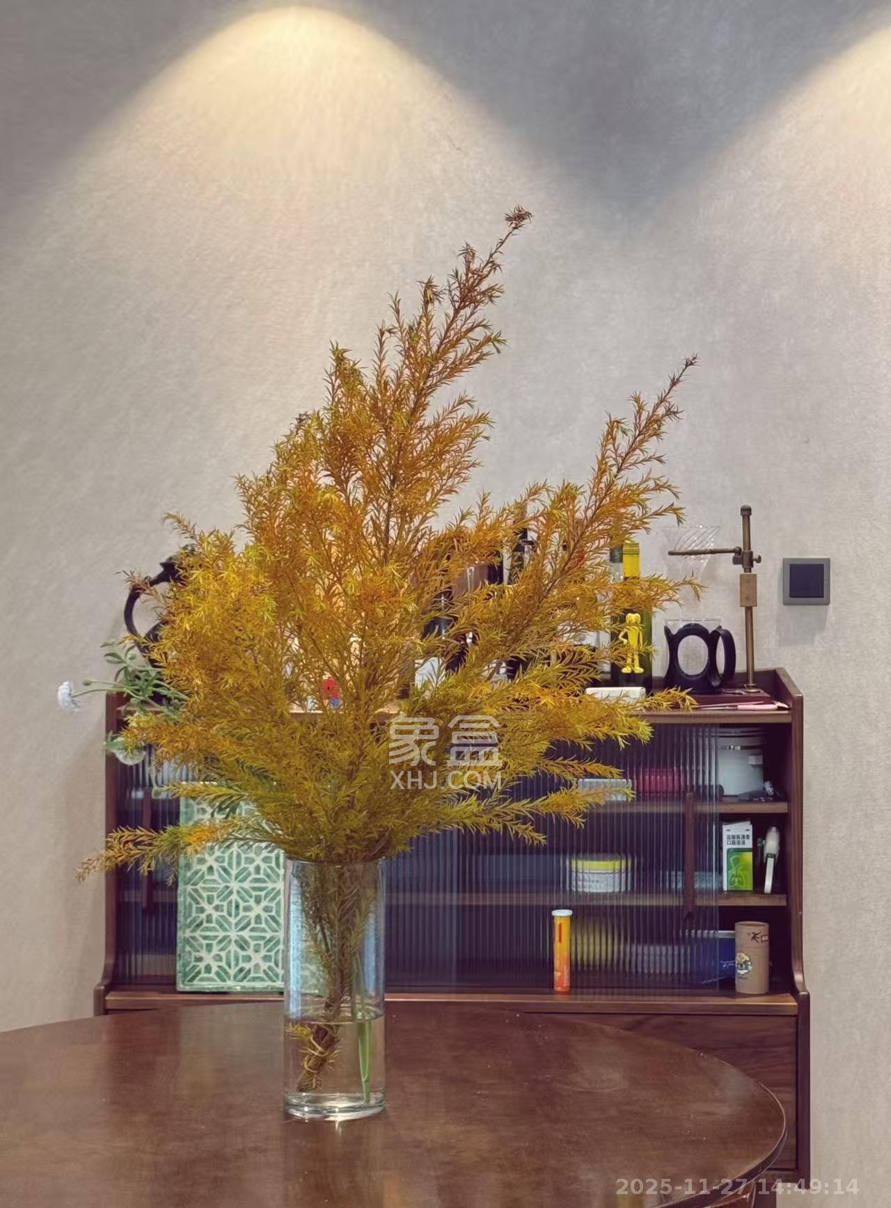 梅溪湖金茂府（金茂广场）（金茂览秀城）  4室2厅1卫    10000.0元/月室内图