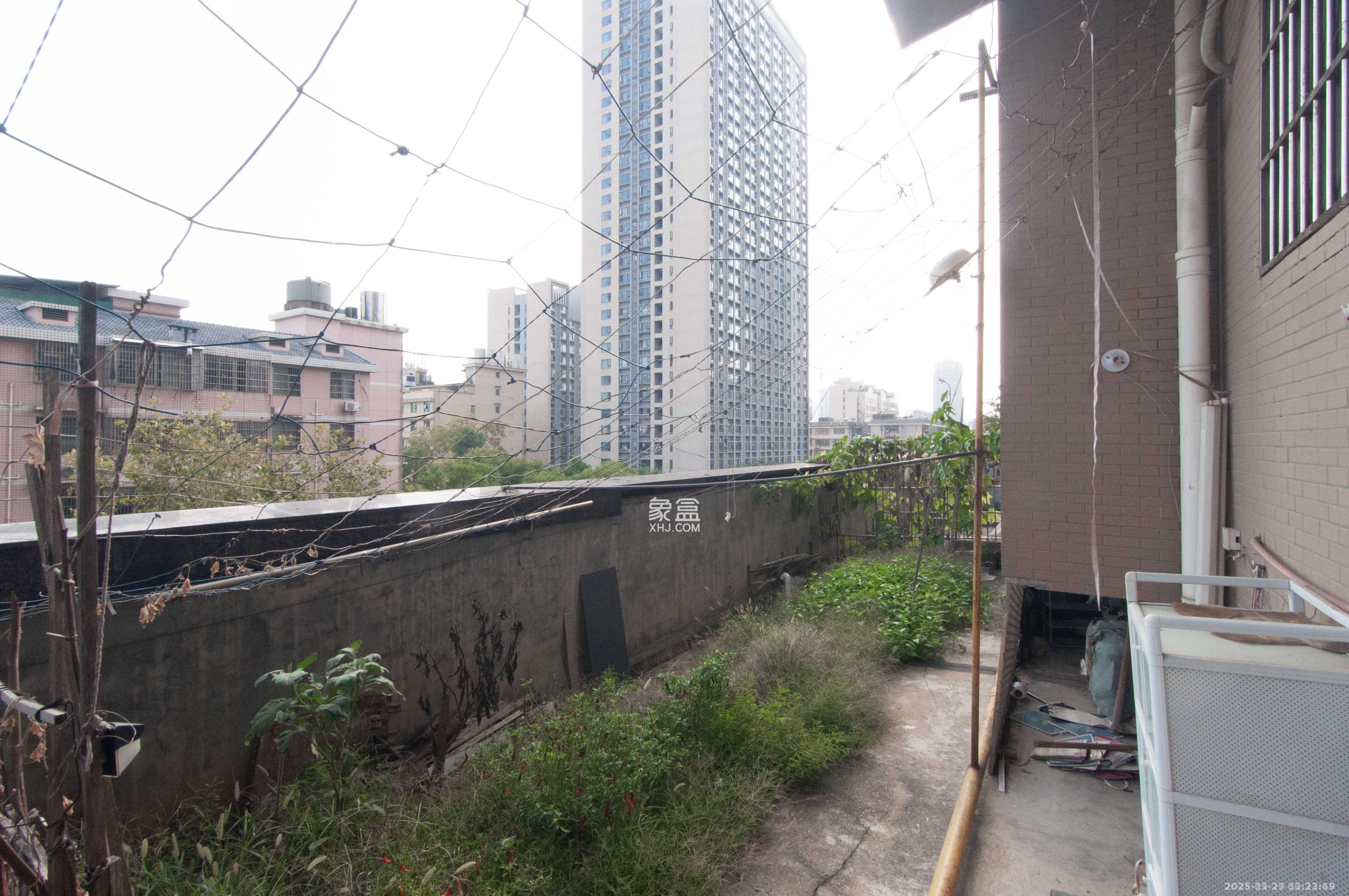 广盛华苑  3室2厅1卫    2500.0元/月室内图