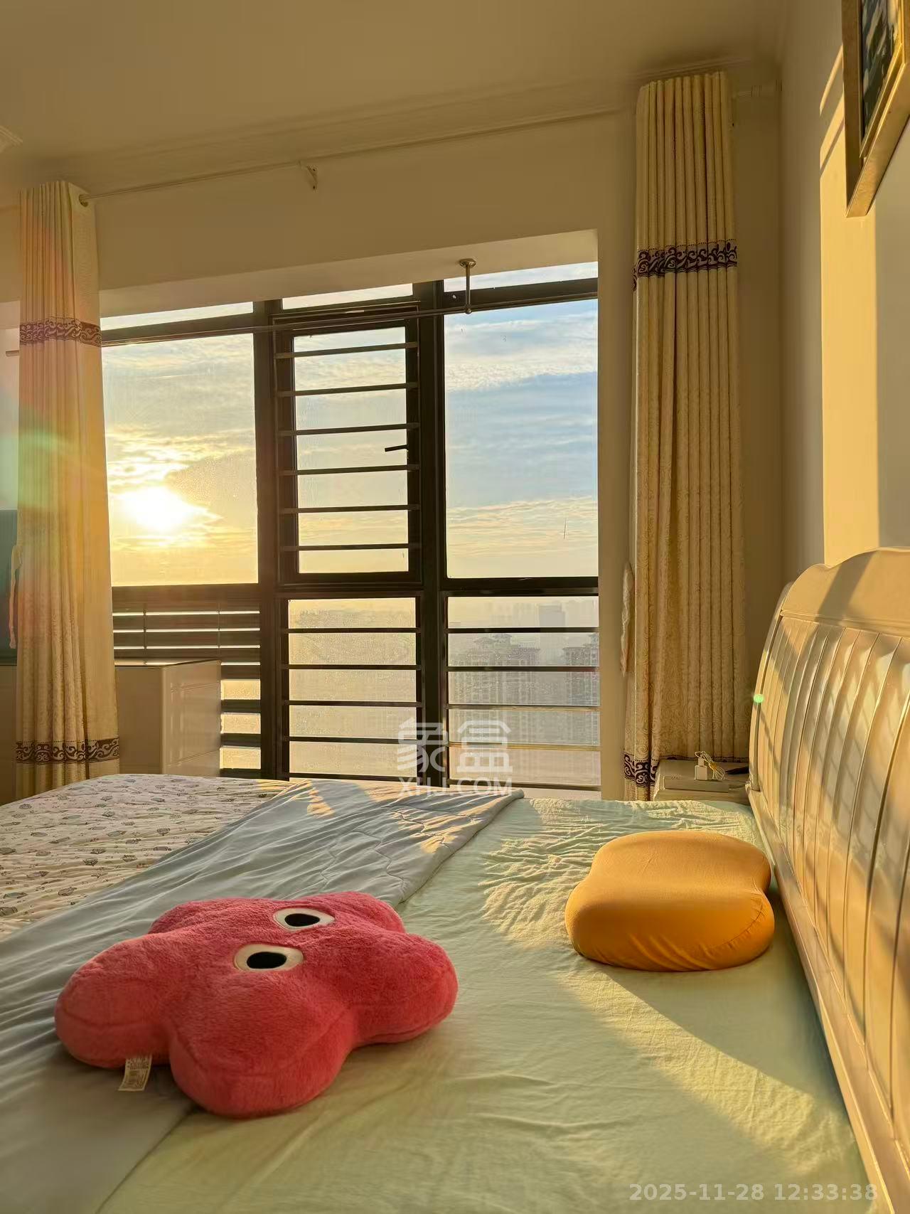 达美美立方  1室1厅1卫    1600.0元/月