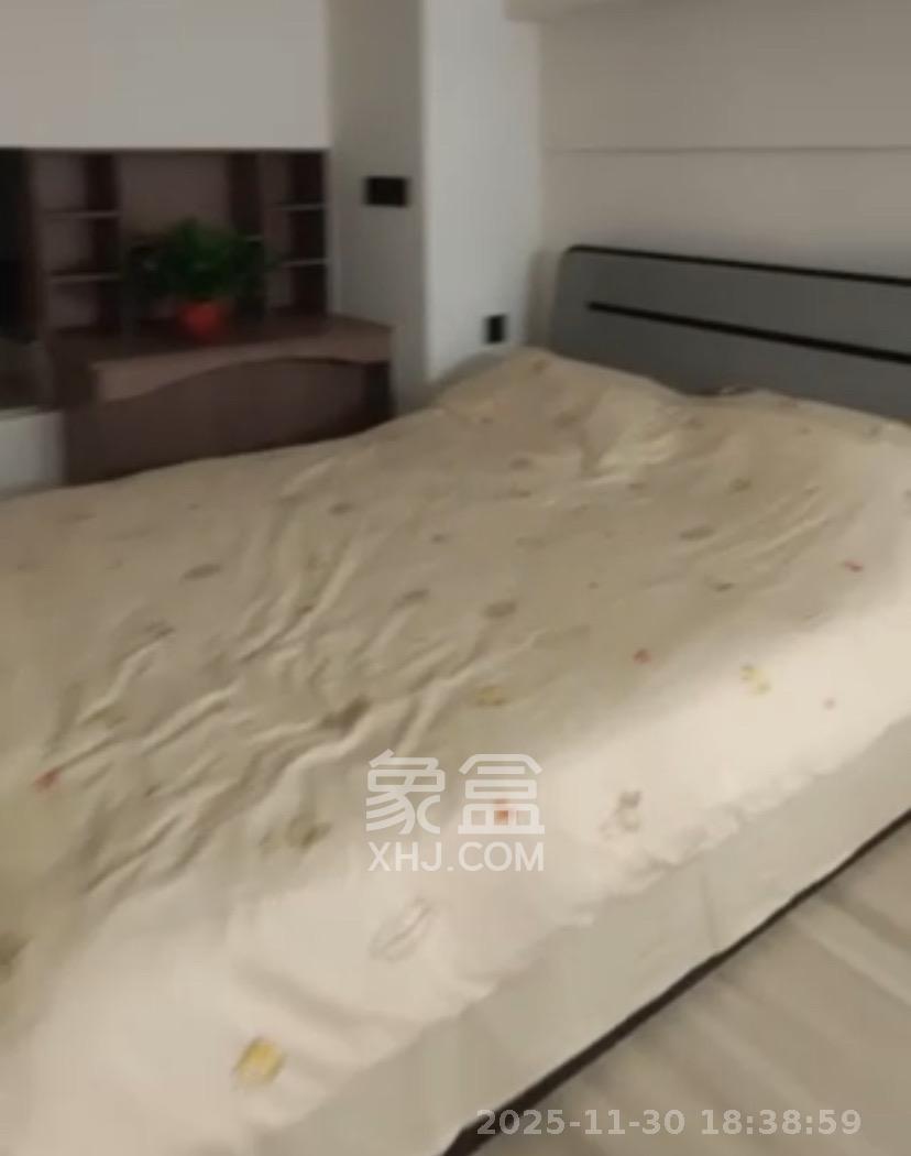 梅溪湖金茂湾  1室1厅1卫    2600.0元/月室内图