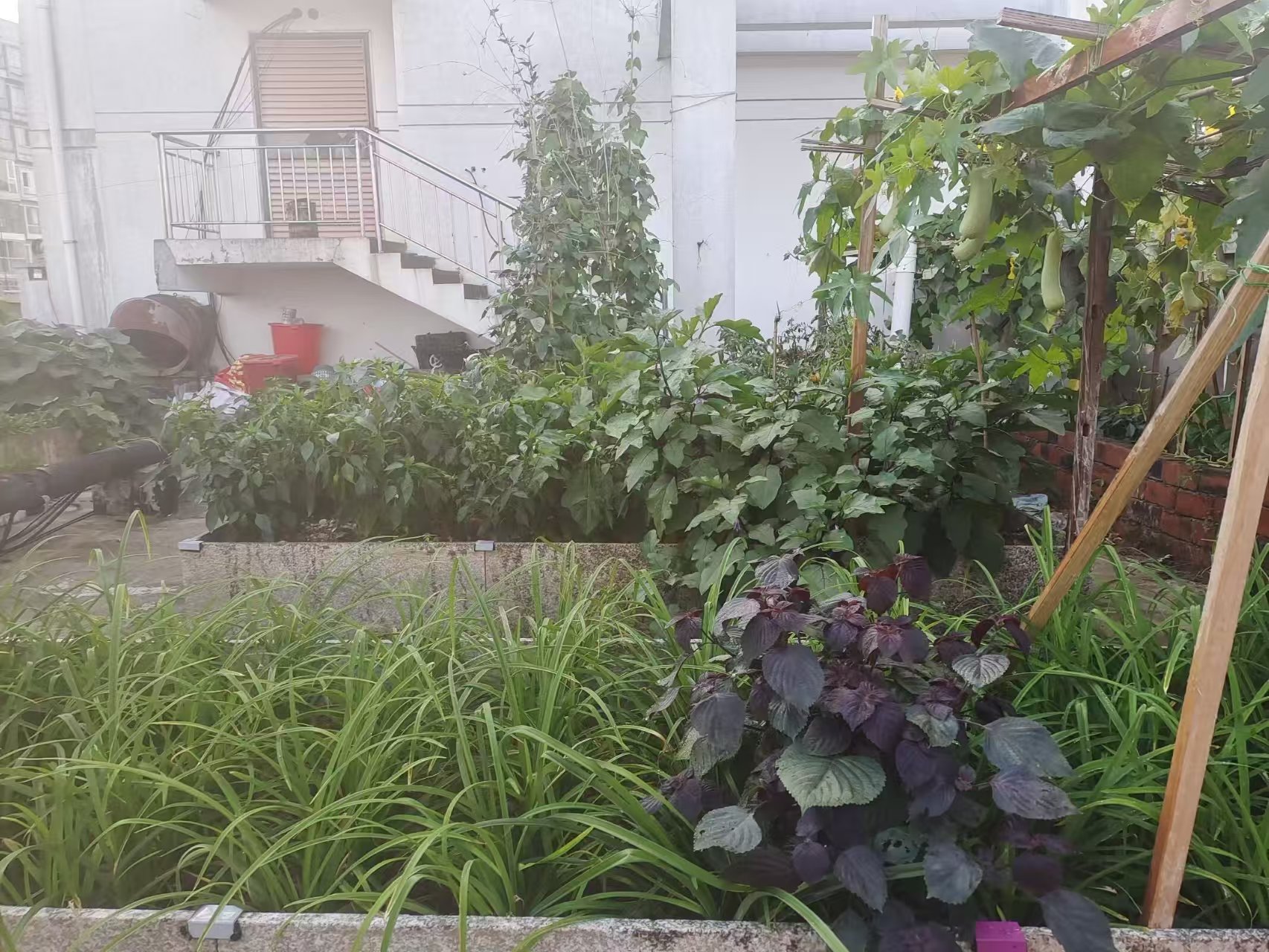 山河锦园 3室2厅1卫 42.8万 山河锦园 3室2厅1卫 42.8万室内图