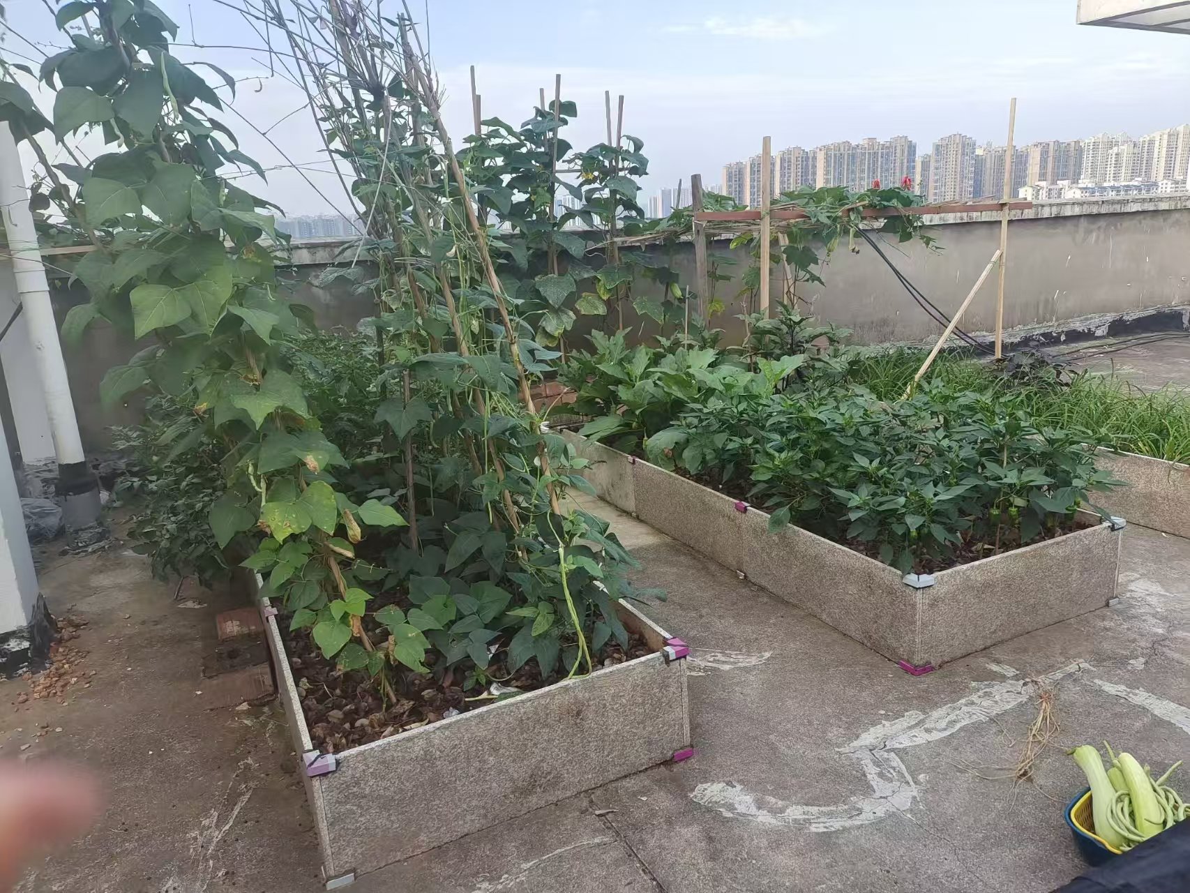 山河锦园 3室2厅1卫 42.8万 山河锦园 3室2厅1卫 42.8万室内图