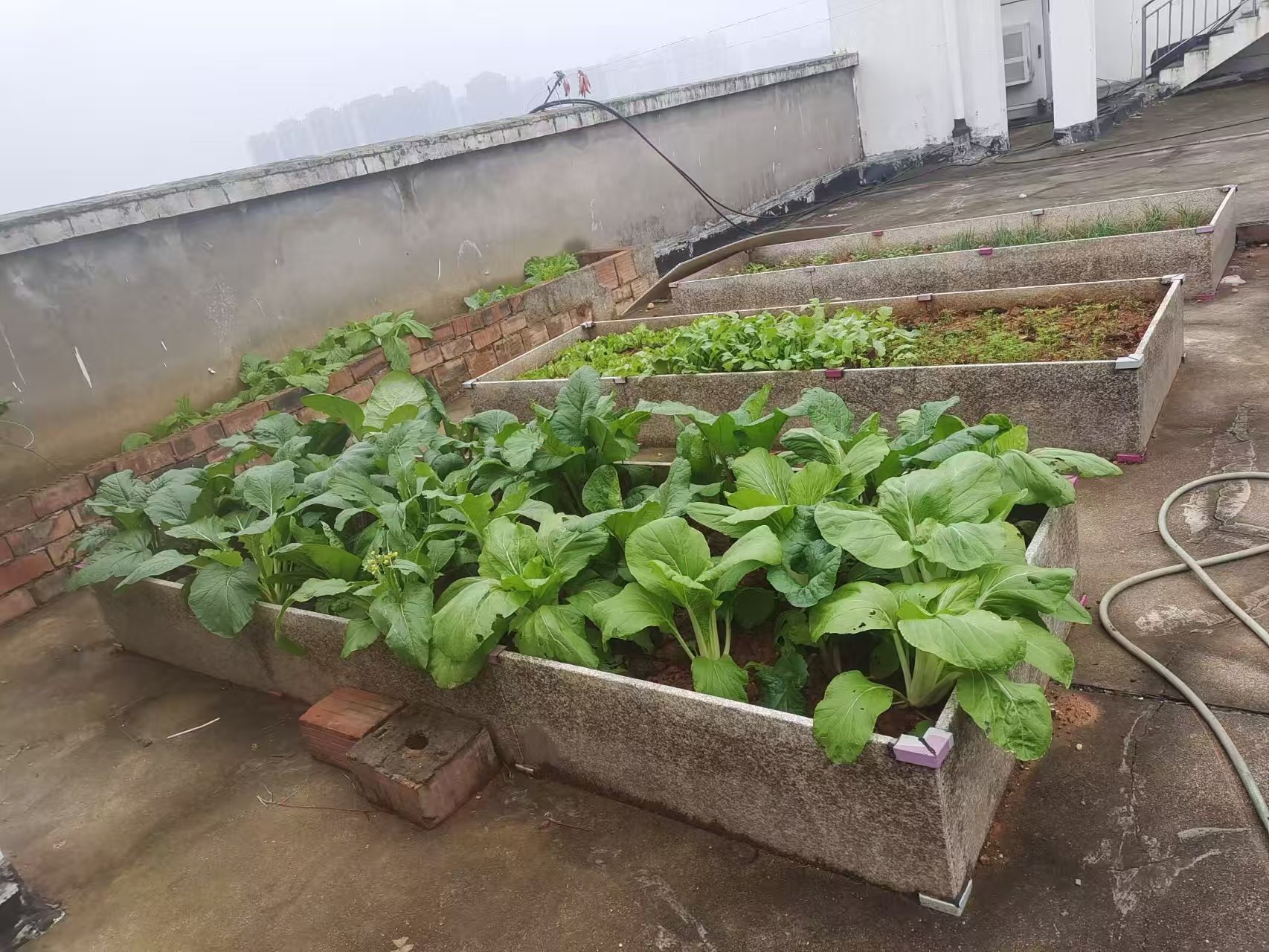 山河锦园 3室2厅1卫 42.8万 山河锦园 3室2厅1卫 42.8万室内图