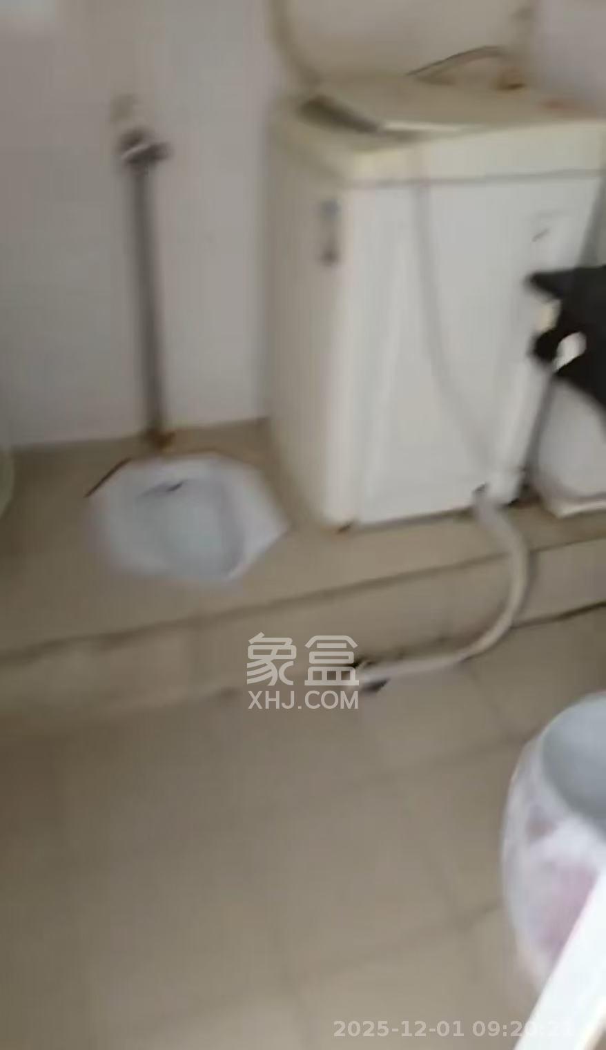 东一时区  1室1厅1卫    1200.0元/月室内图