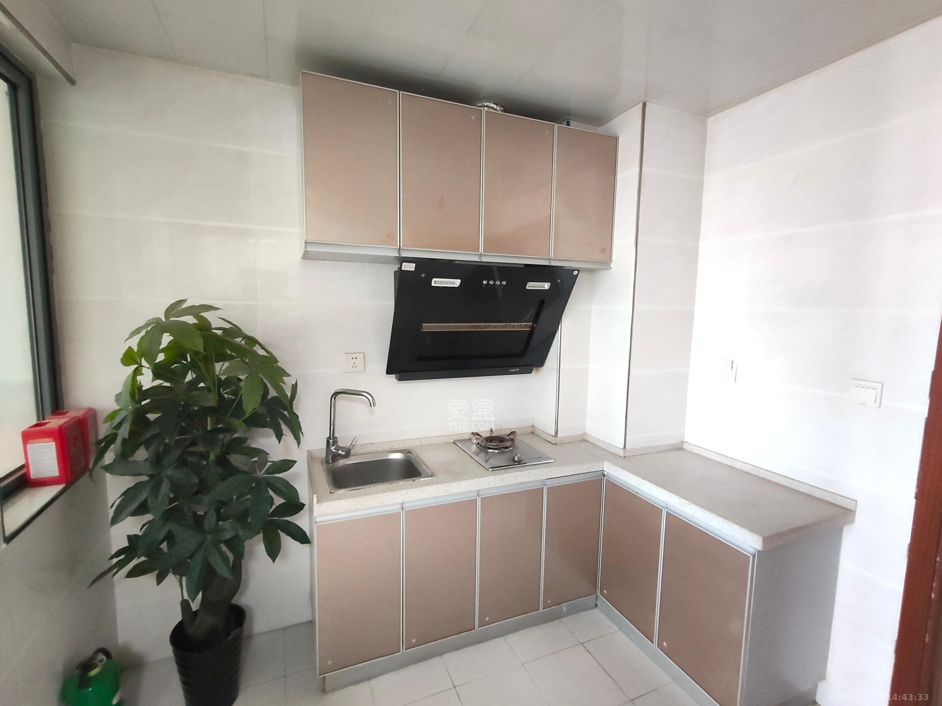 东怡外国(南湖一号) 1室1厅1卫 2200.0元/月 东怡外国(南湖一号) 1室1厅1卫 2200.0元/月室内图