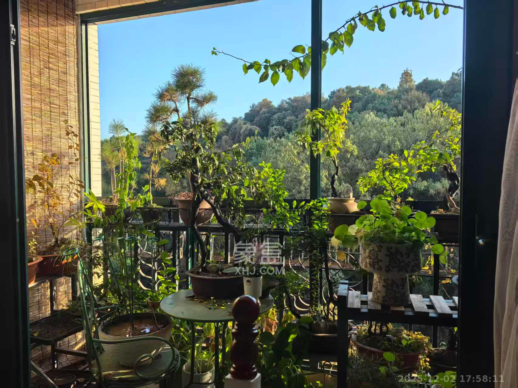 恒大城  2室2厅1卫    2100.0元/月室内图