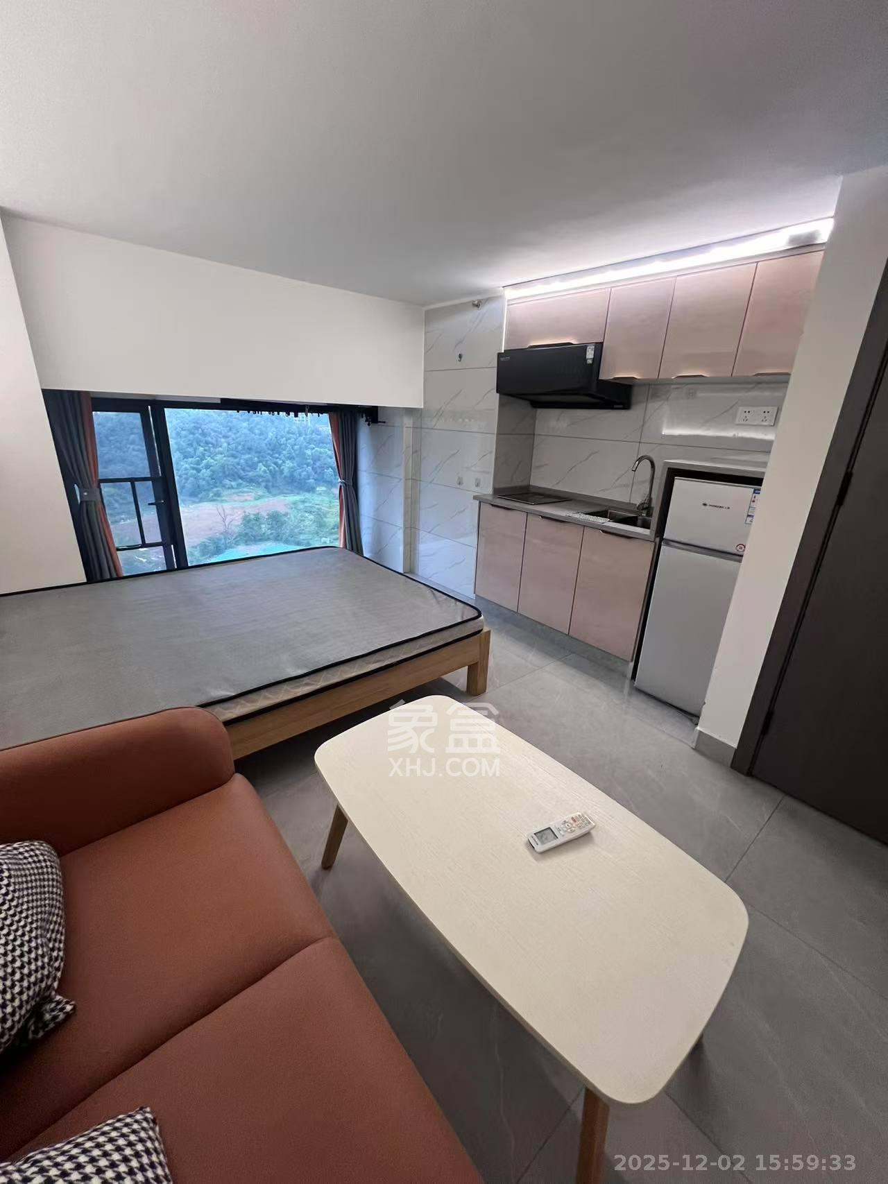 天麓轻奢国际  1室0厅0卫    1200.0元/月室内图