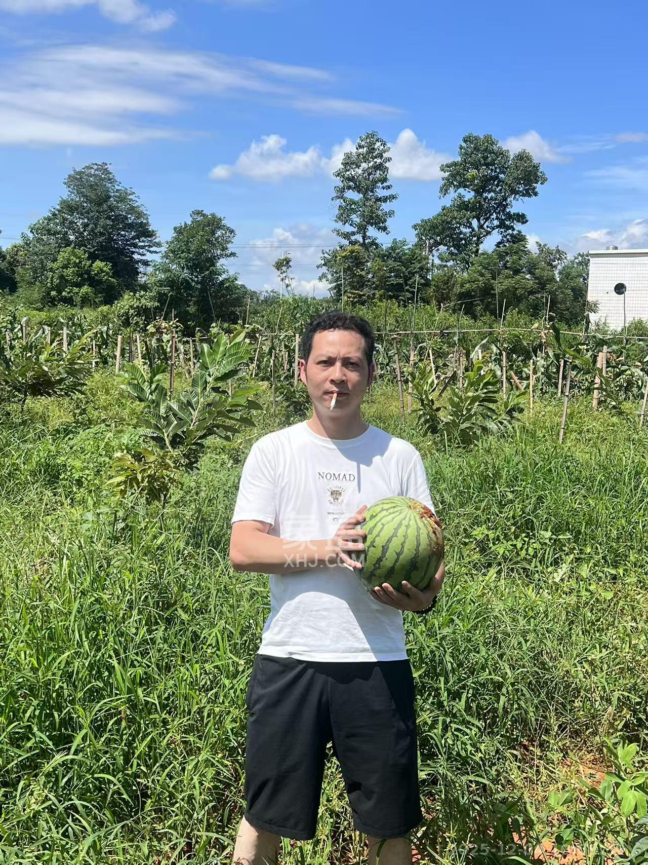 中海阅湘台  4室2厅3卫    16000.0元/月