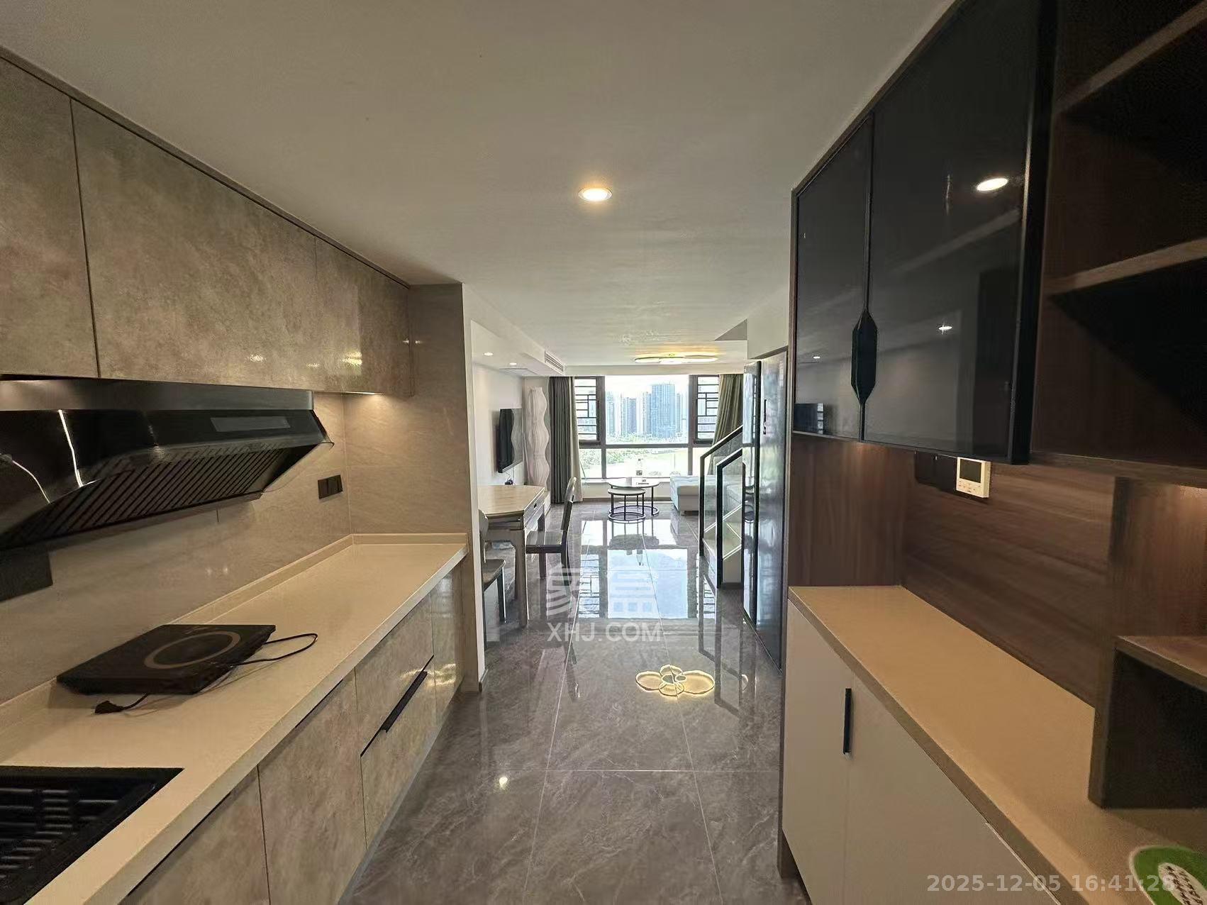 藏珑湖上公馆  2室2厅2卫    2800.0元/月室内图