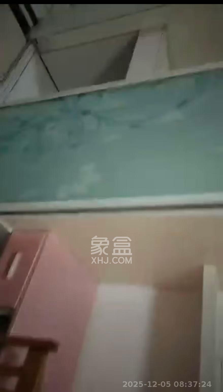 兰卡威国际  1室1厅0卫    1000.0元/月室内图