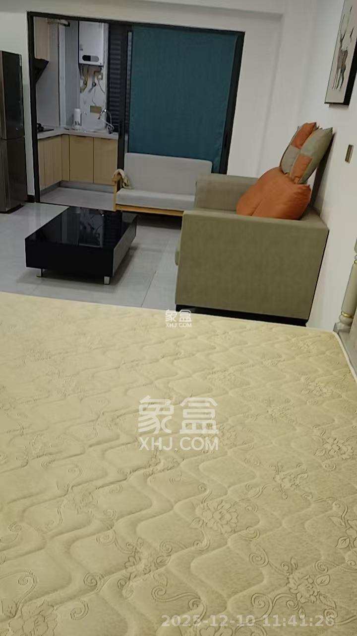 明发国际城 1室1厅1卫 1400.0元/月 明发国际城 1室1厅1卫 1400.0元/月室内图