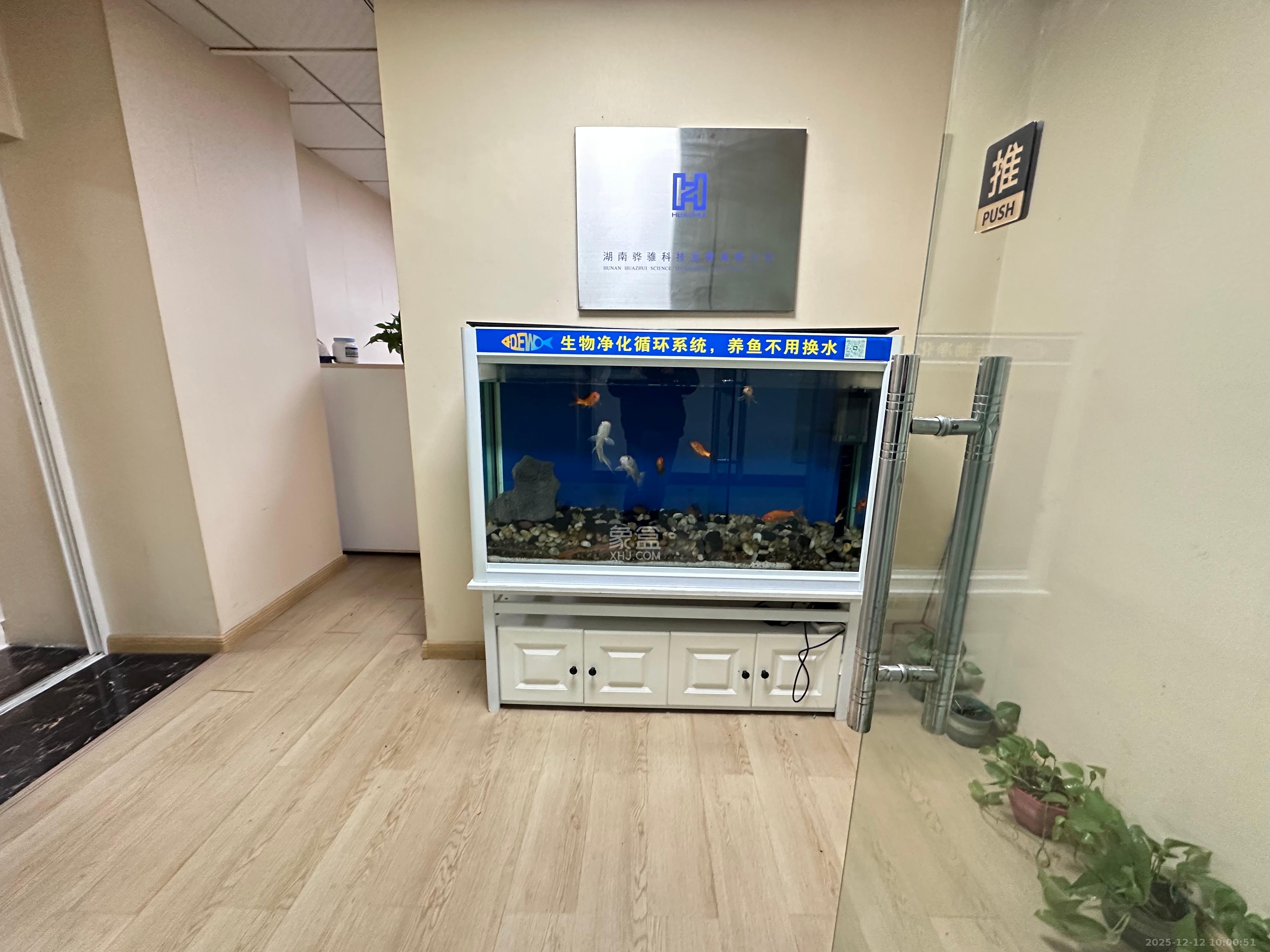 百脑汇大厦（友阿百货）   56.74㎡      2200.0元/月