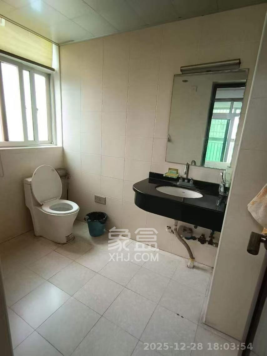 麓谷加州阳光  3室2厅1卫    2400.0元/月