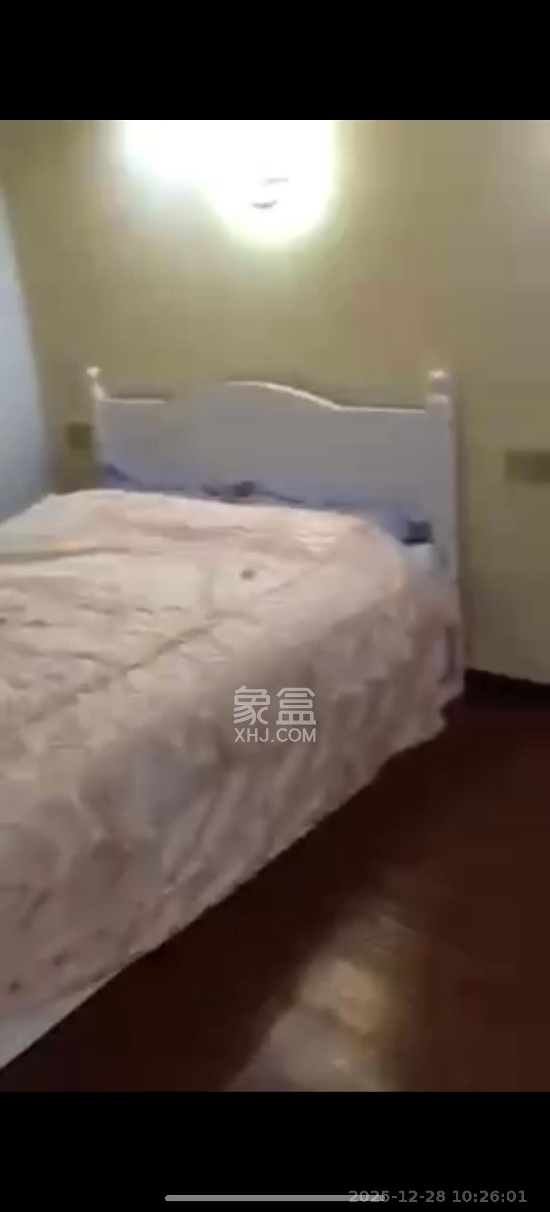 达美美立方  1室1厅1卫    2000.0元/月