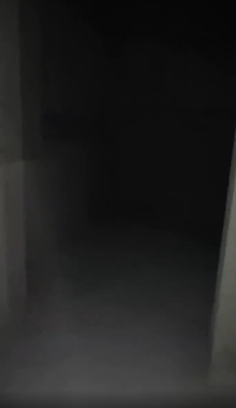 滨江海岸三期   90.0㎡      4800.0元/月