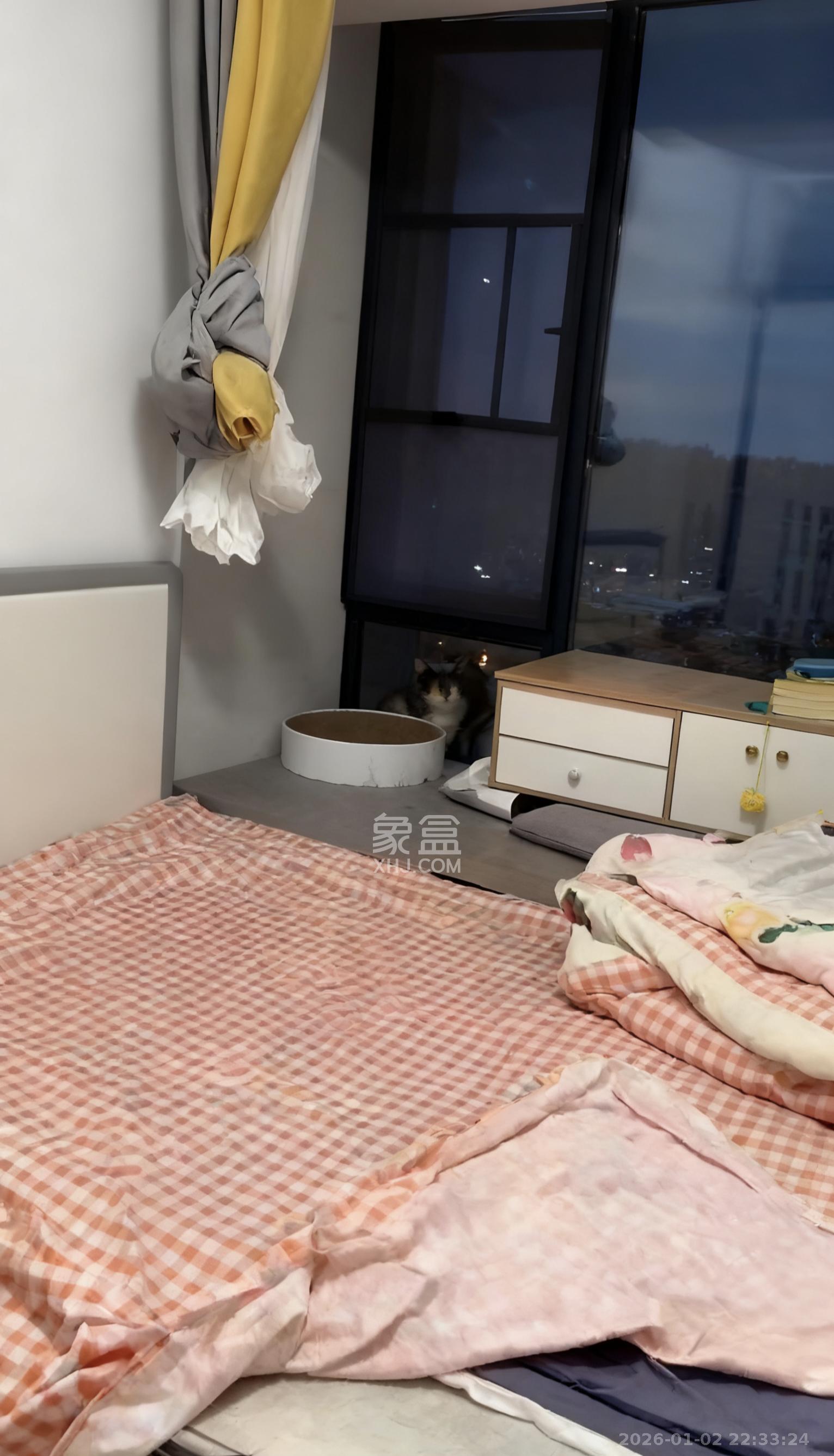 金侨风华府  1室1厅1卫    1200.0元/月