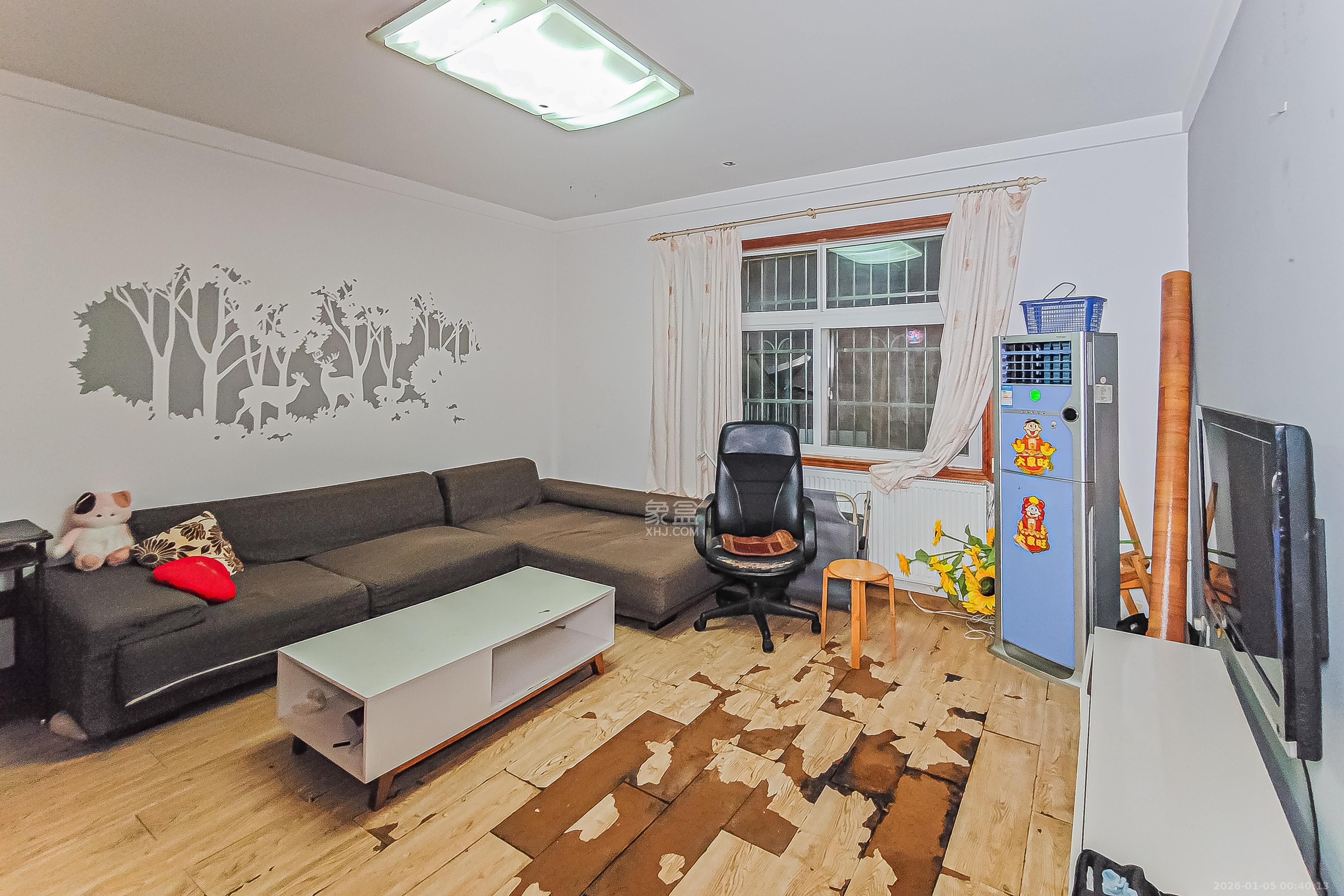 活力康城  2室2厅1卫    56.0万