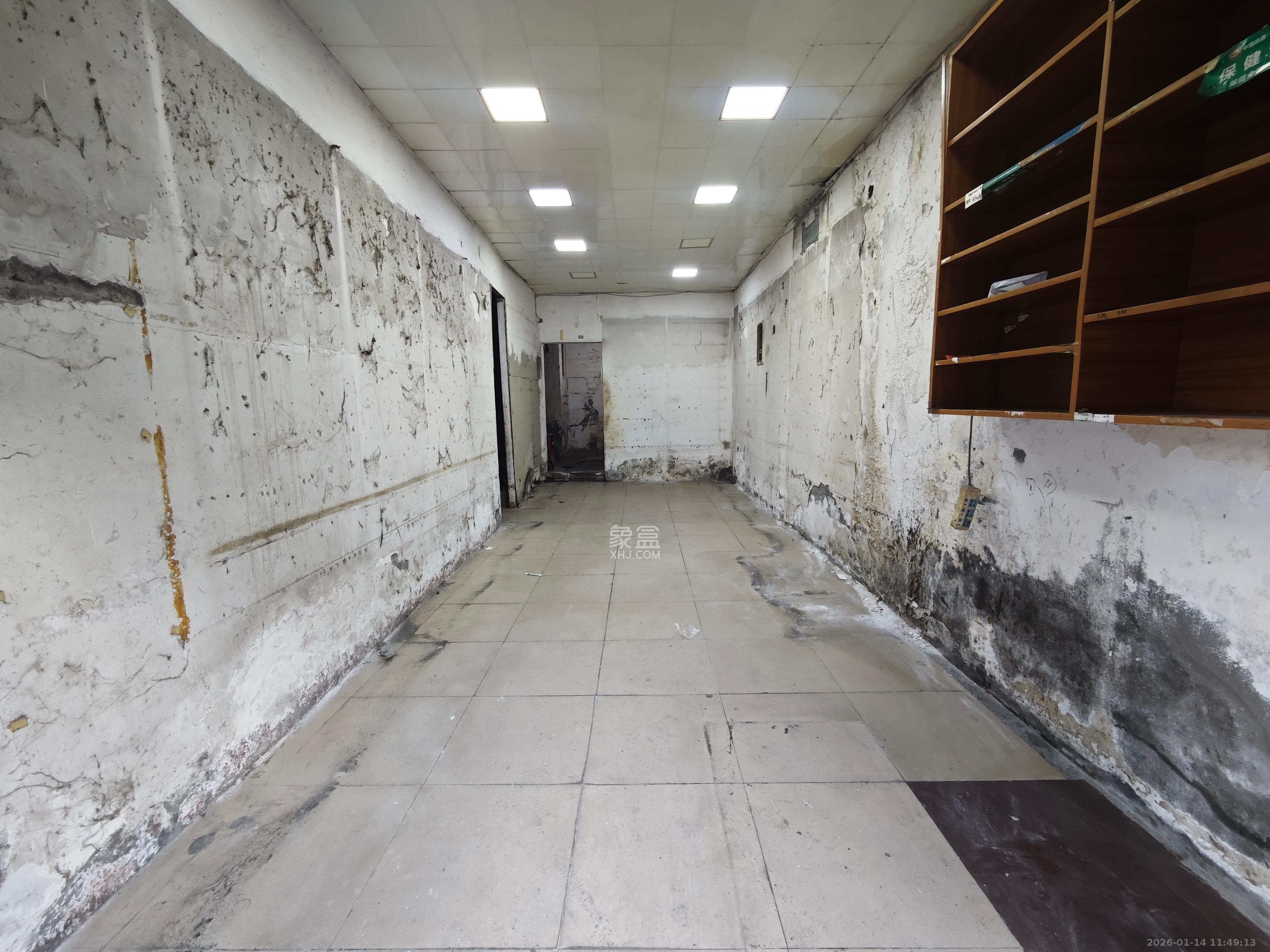 都江新城（都江新苑）   27.84㎡      5000.0元/月