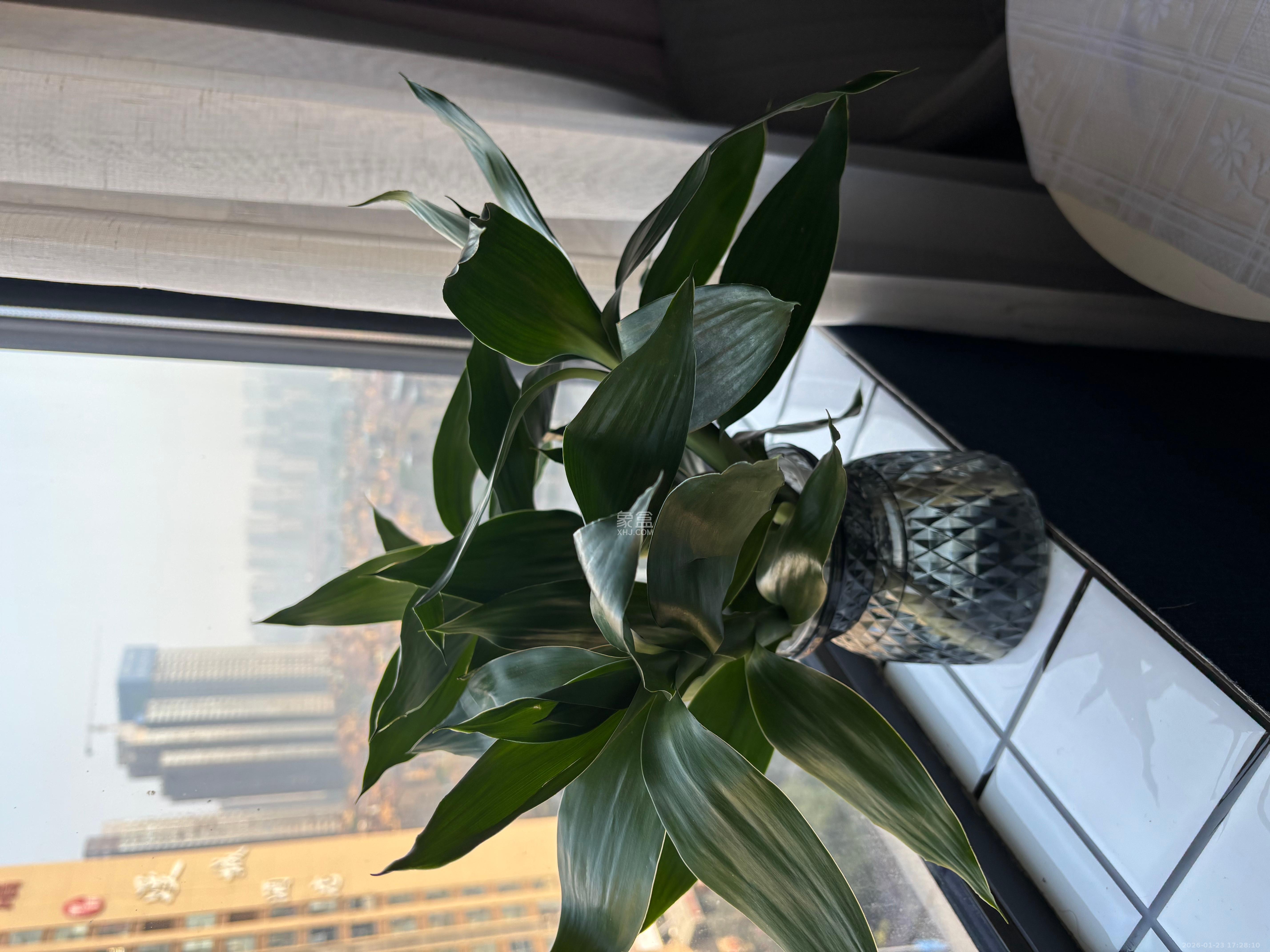 明大佳园   36.39㎡      1400.0元/月室内图