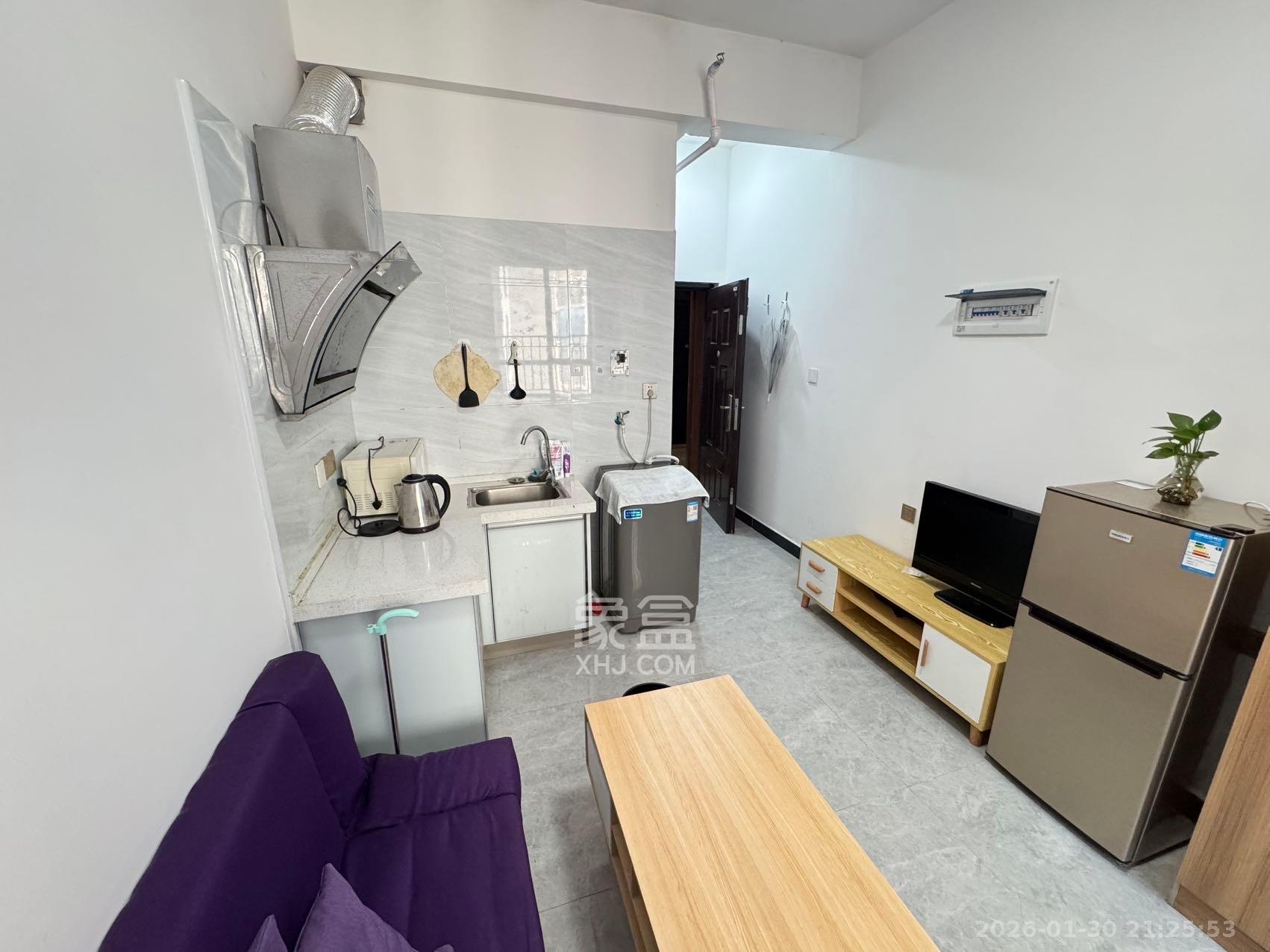 洋湖时代  1室1厅1卫    1000.0元/月