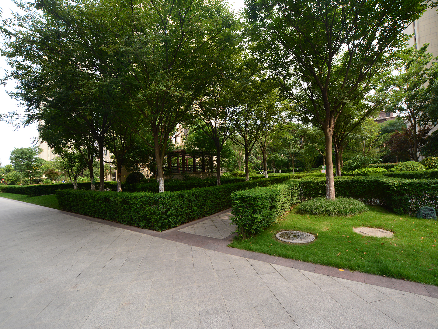 中金海棠湾(三期)