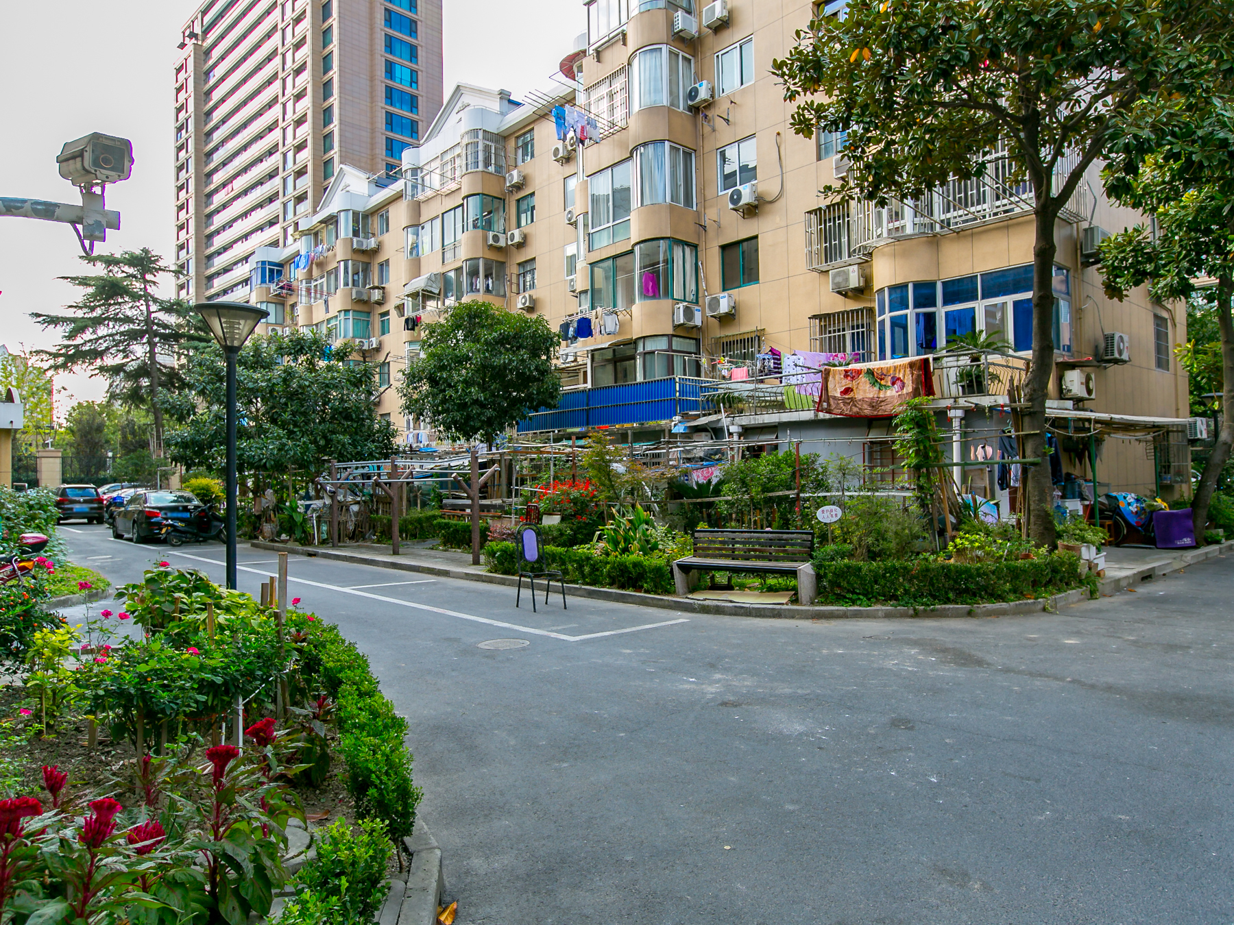 梅花新村(花木)