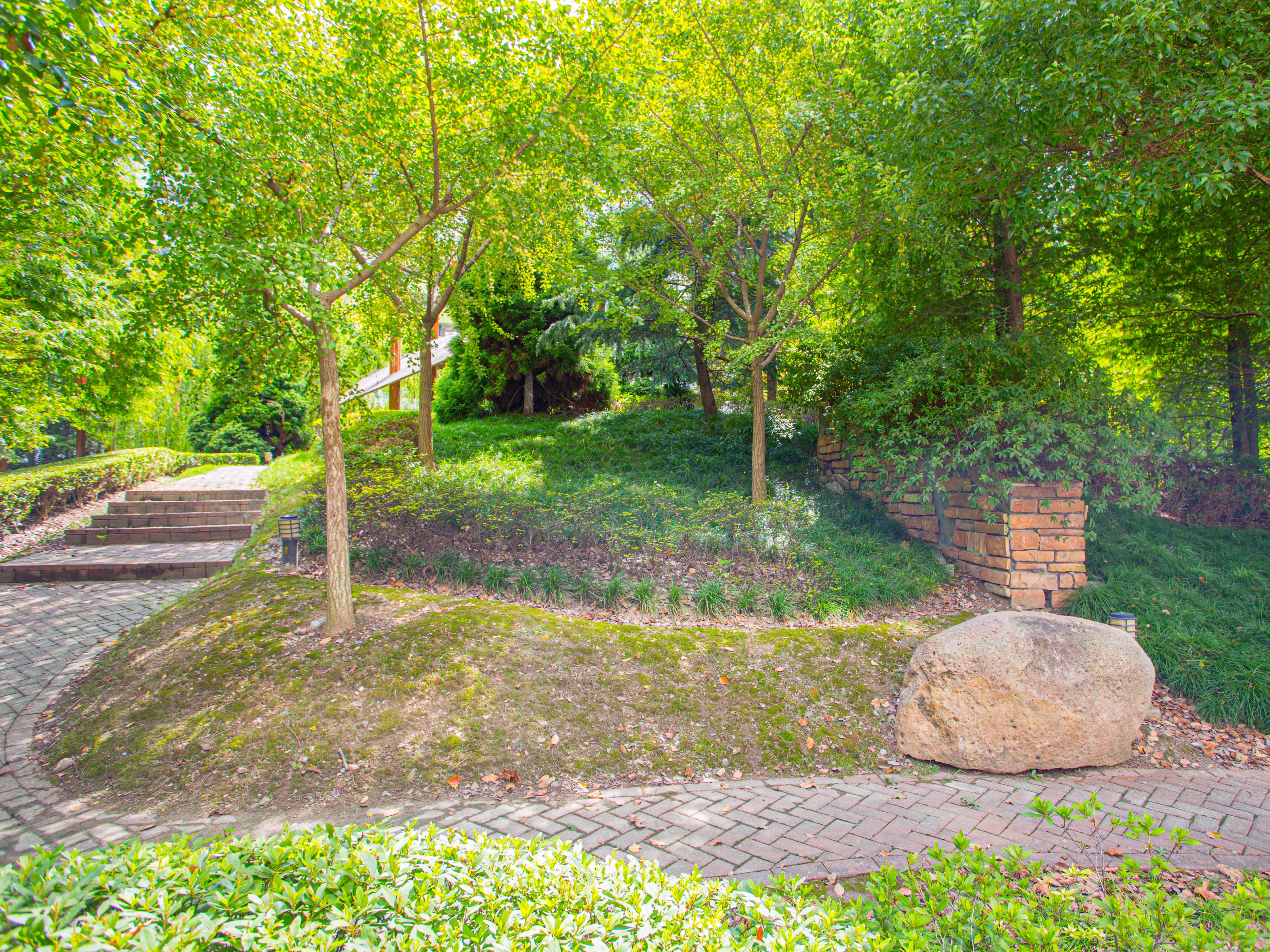 陆家嘴中央公寓