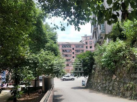 鹿角山小区 3室2厅2卫 65.00万 鹿角山小区 3室2厅2卫 65.00万小区图