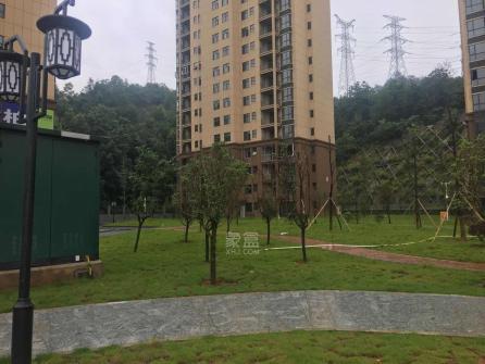 和泰家园  4室2厅2卫    58.8万